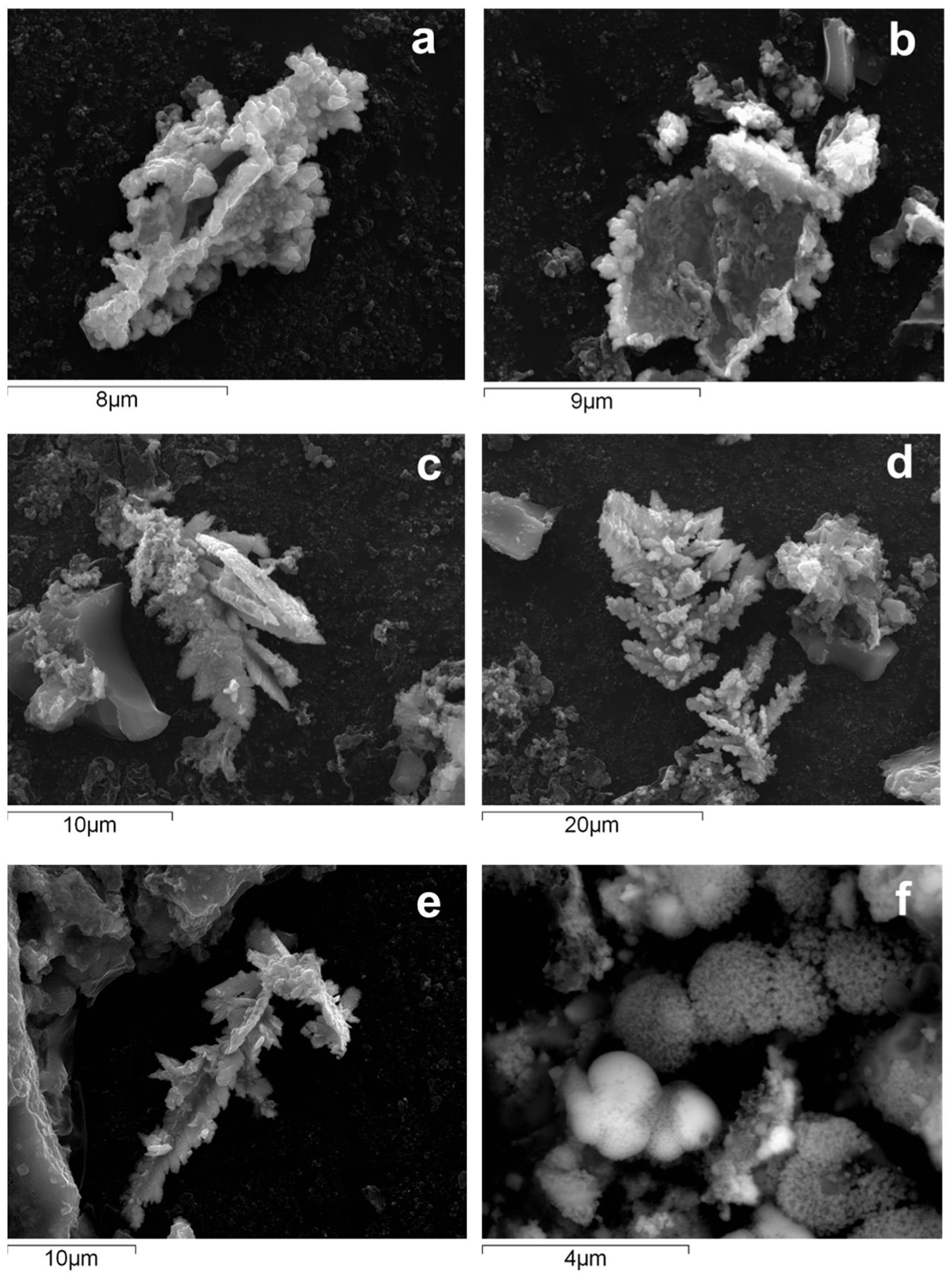 Minerals 12 00322 g006
