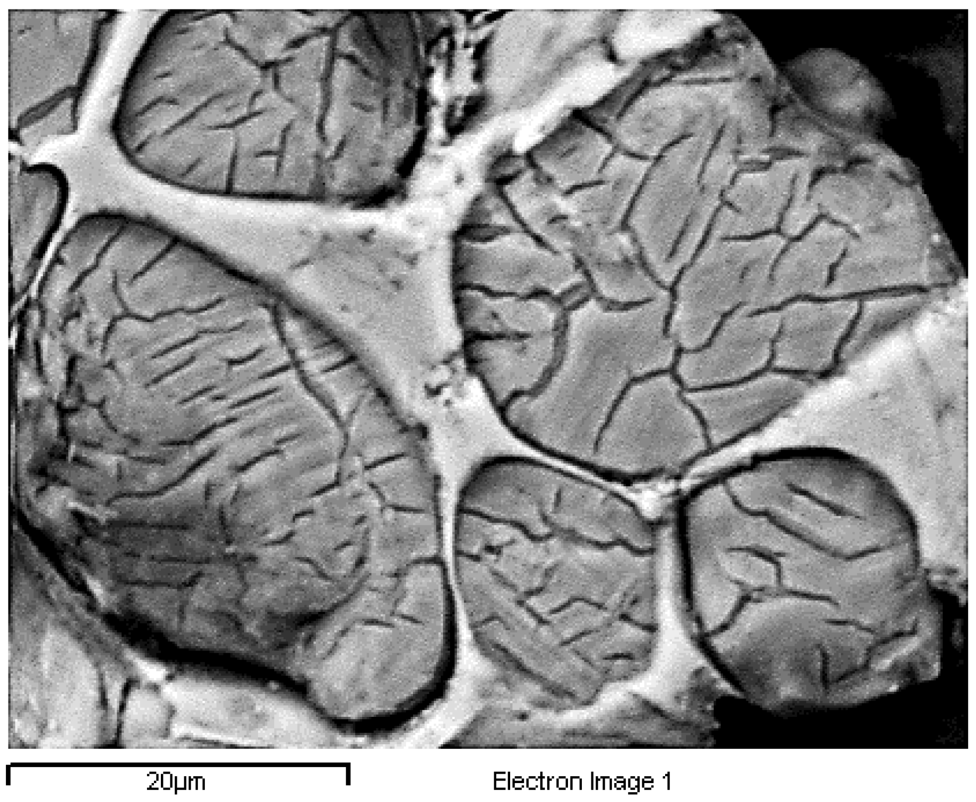 Minerals 12 00324 g014 550