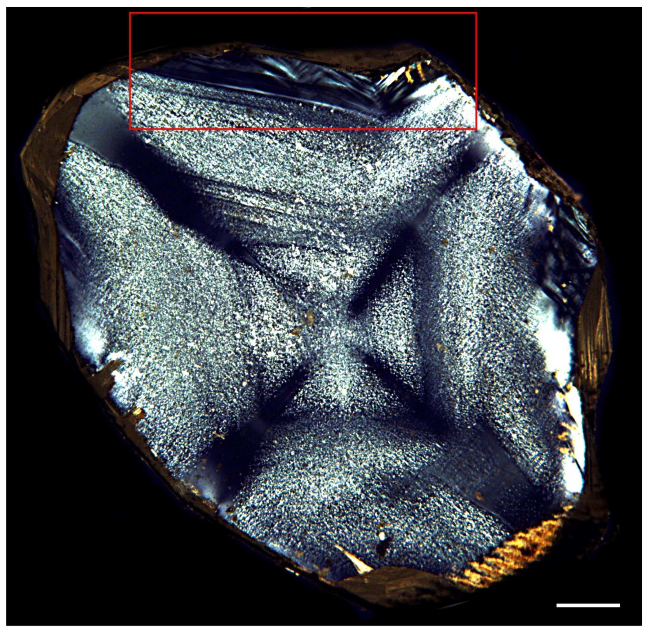 Minerals 12 00327 g006 550