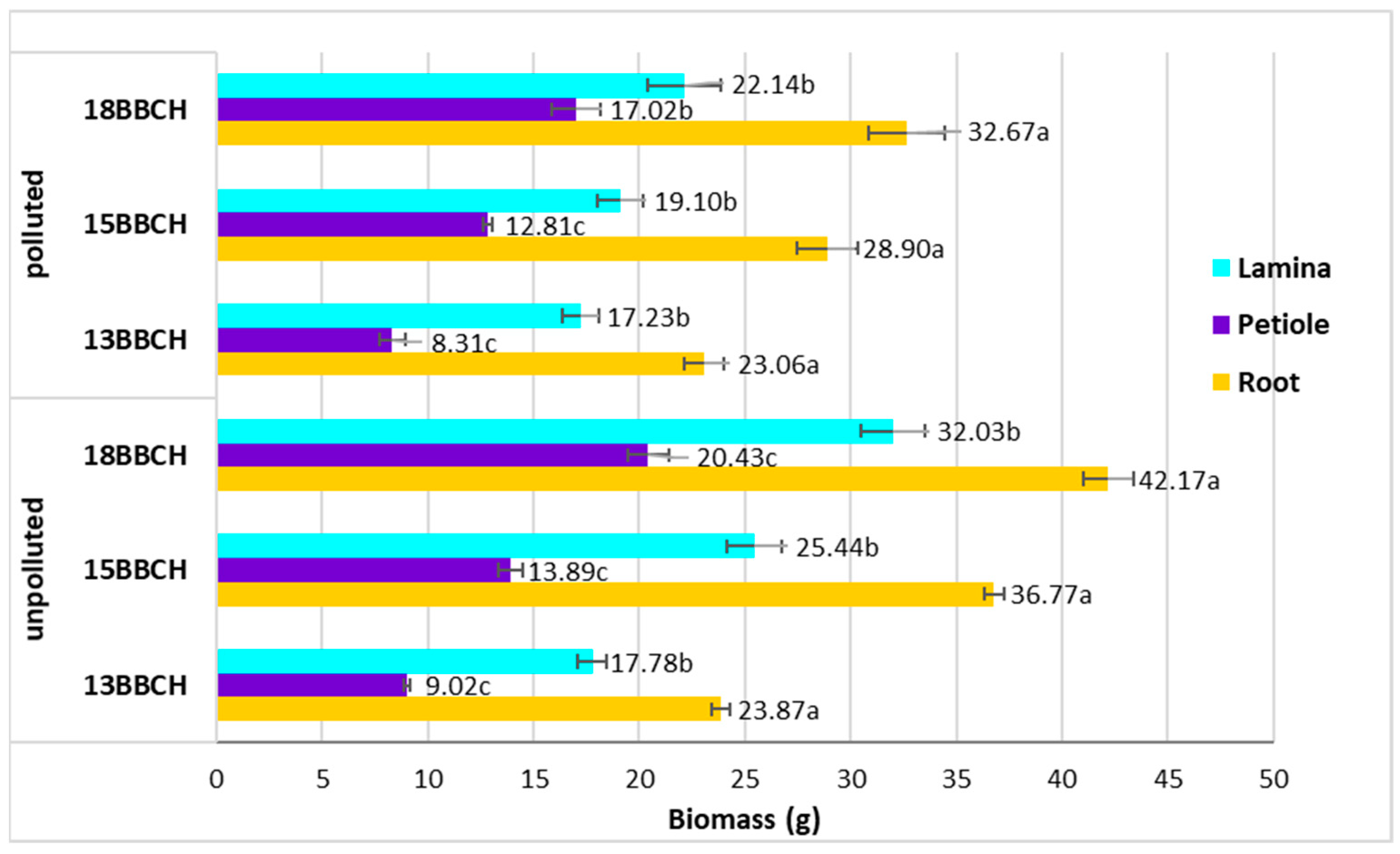 Minerals 12 00334 g008
