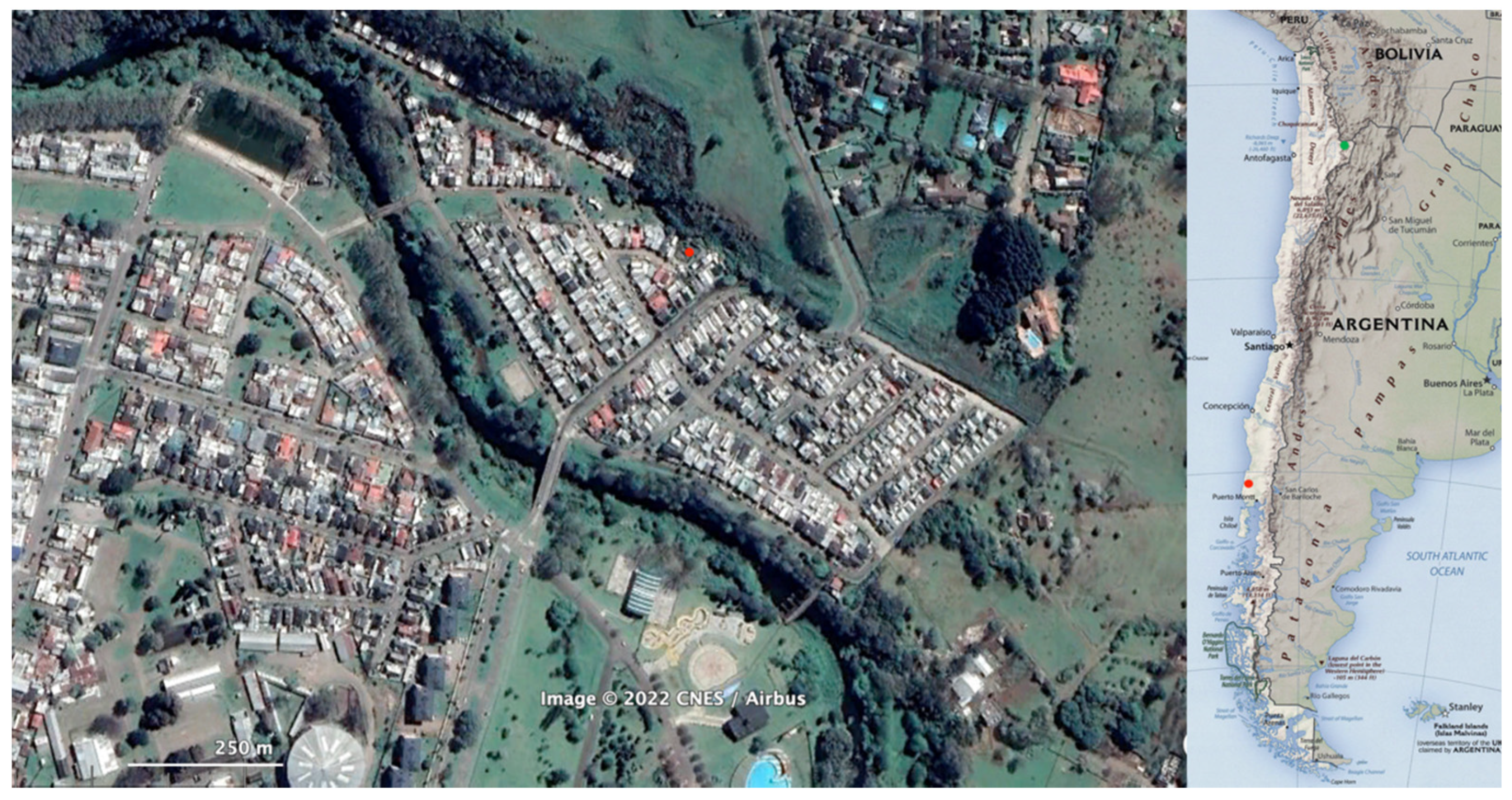 Minerals 12 00343 g001