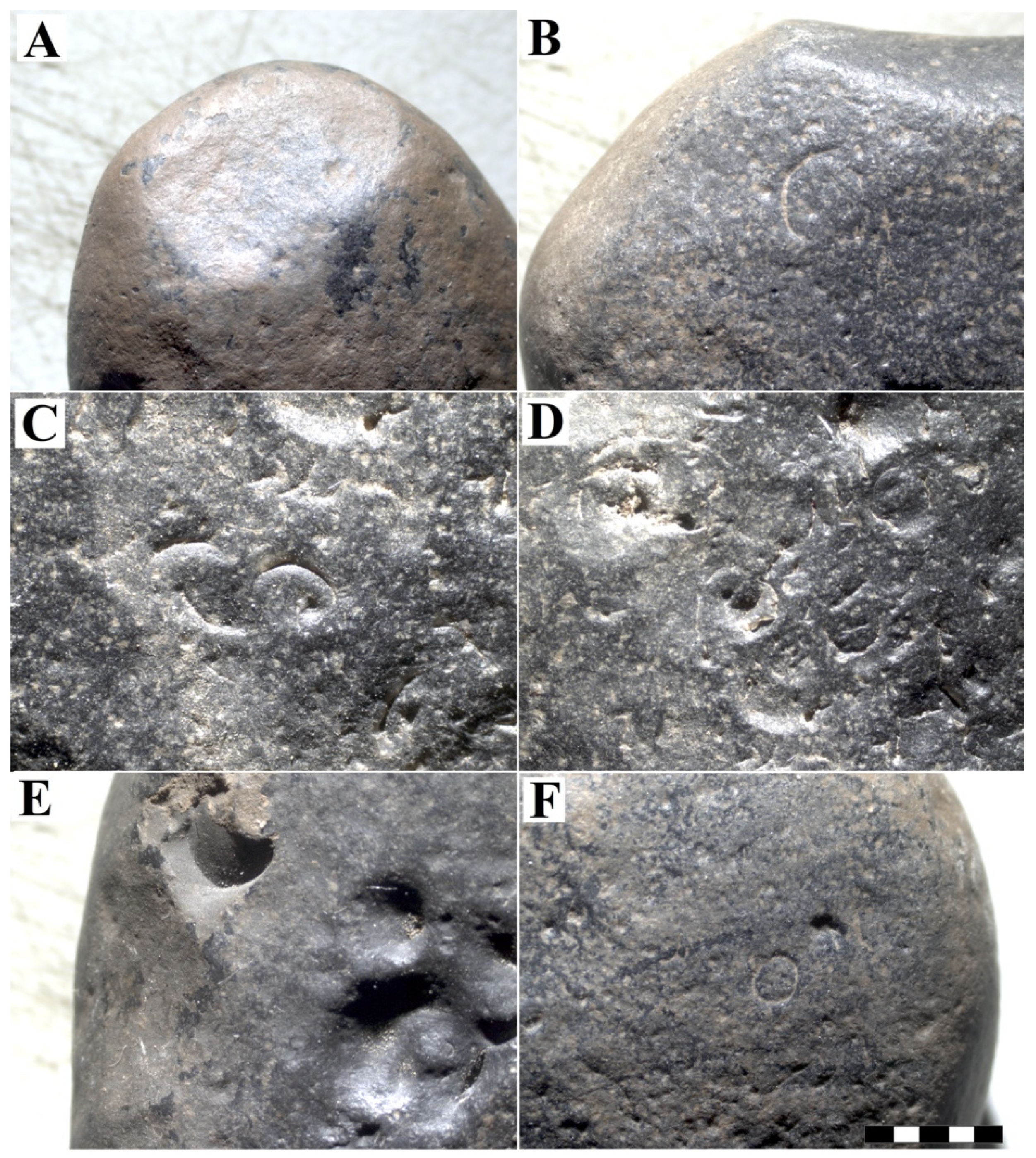 Minerals 12 00343 g006