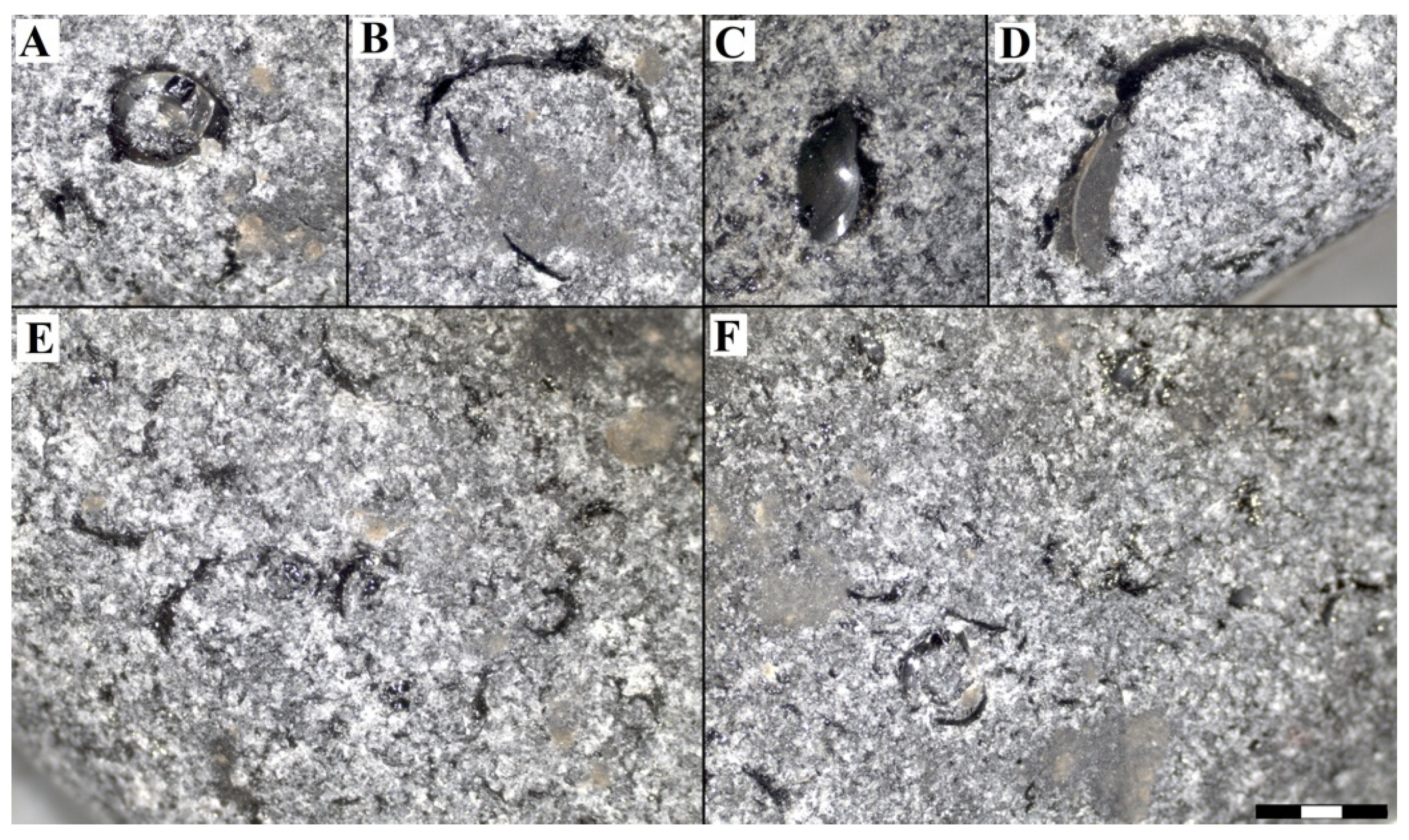 Minerals 12 00343 g007