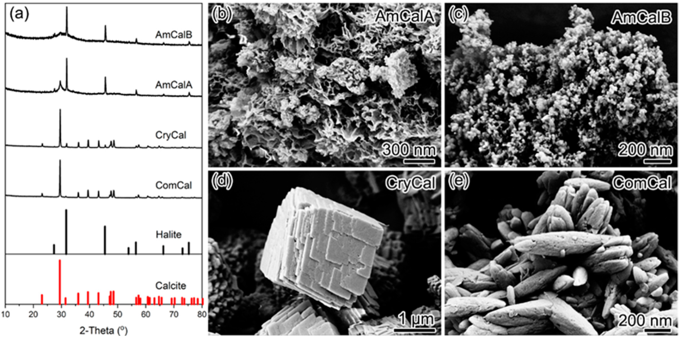Minerals 12 00362 g001