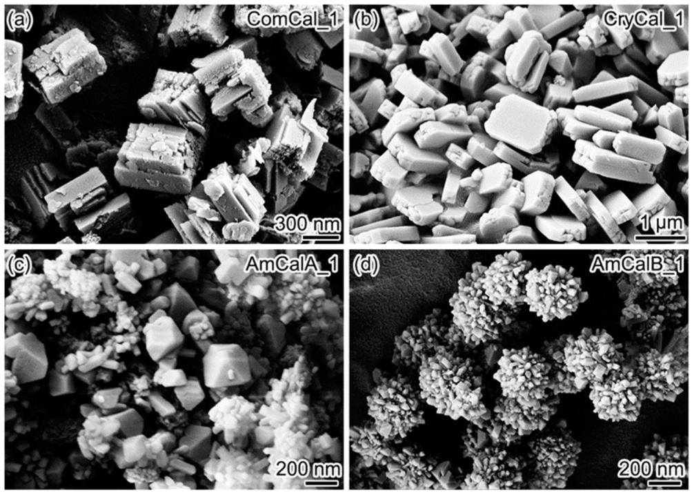 Minerals 12 00362 g006