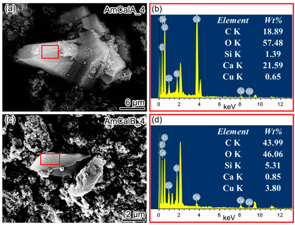 Minerals 12 00362 g007