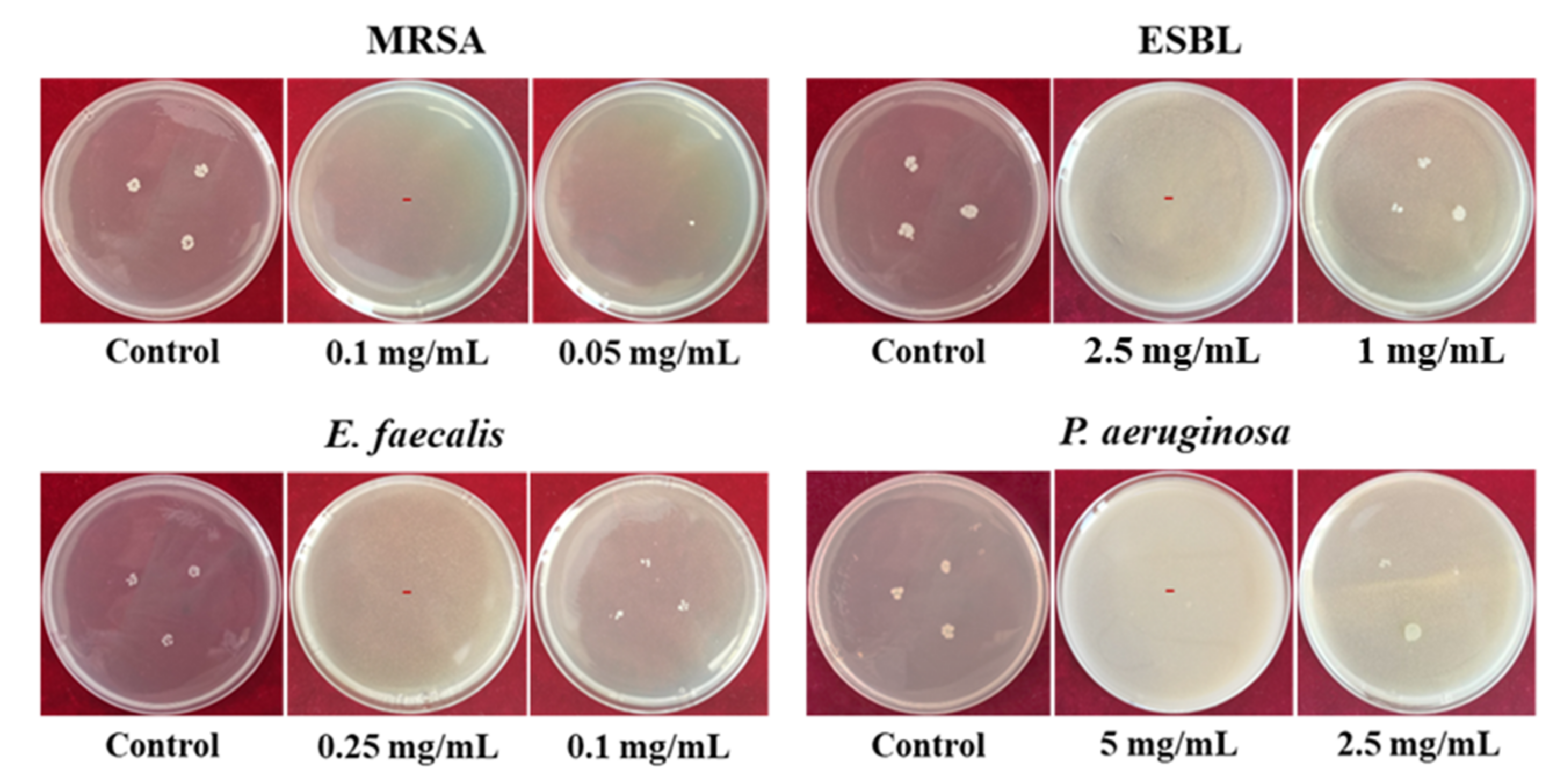 Minerals 12 00364 g006
