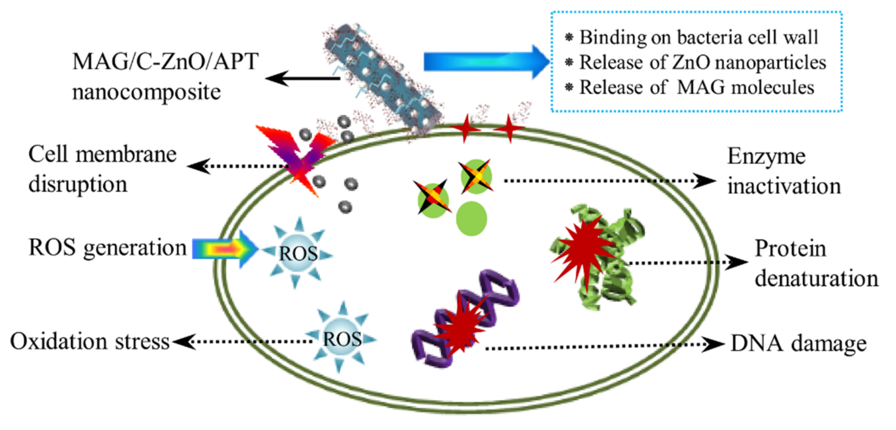 Minerals 12 00364 g007