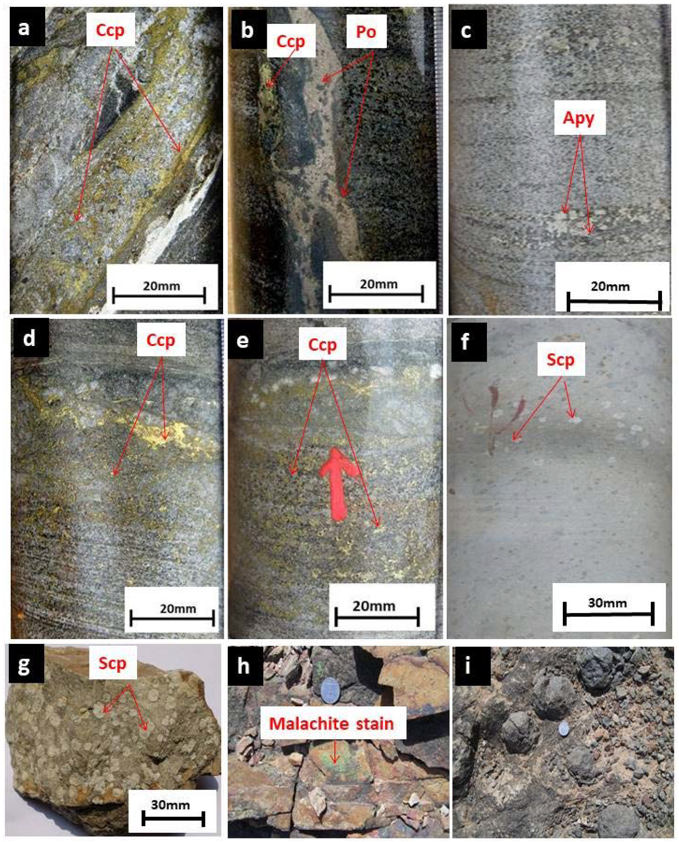 Minerals 12 00370 g005