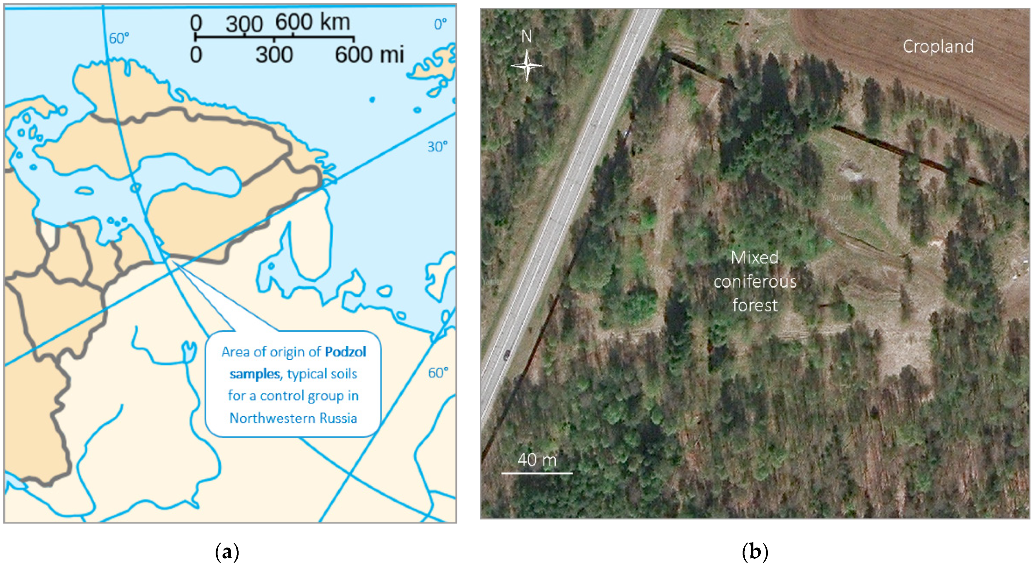 Minerals 12 00376 g002 Minerals 12 00376 g002