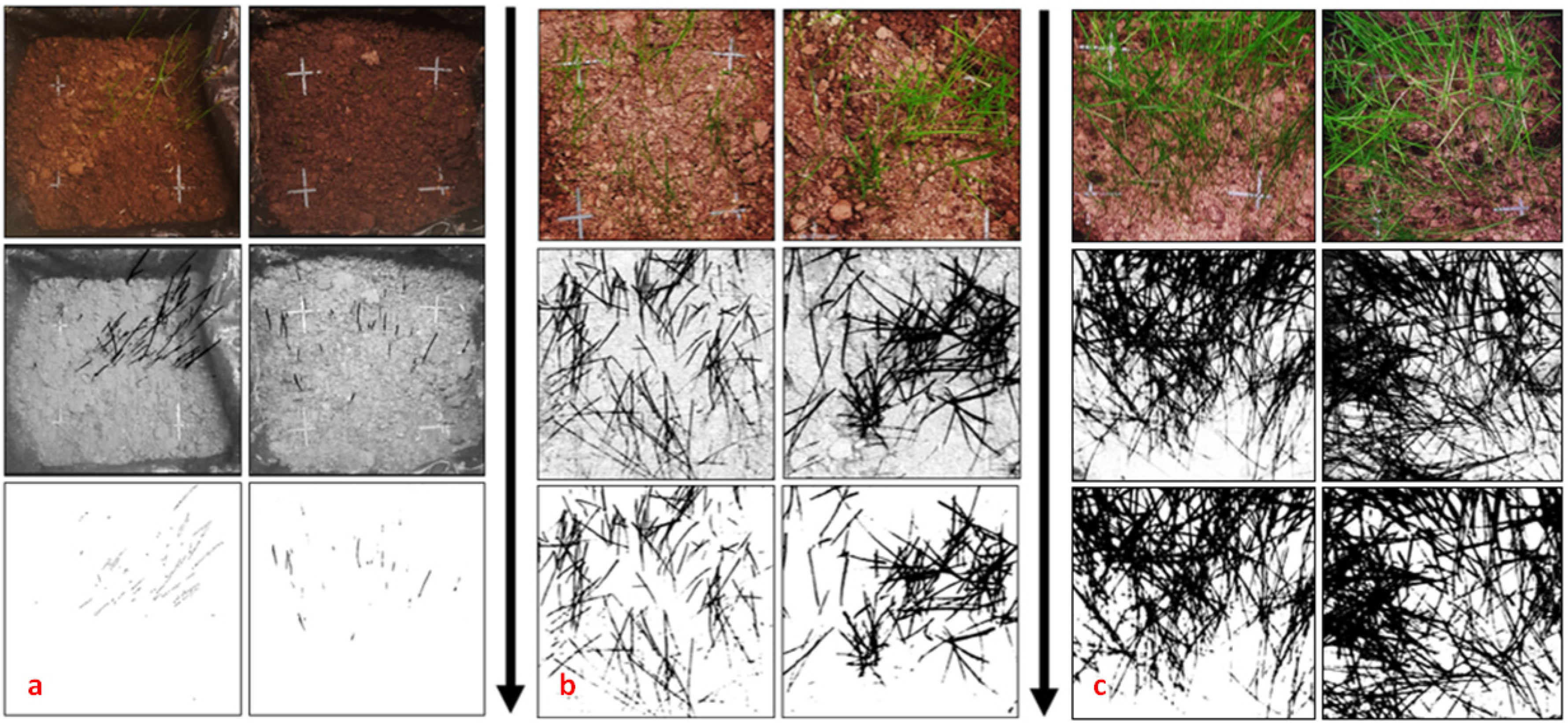 Minerals 12 00376 g004 Minerals 12 00376 g004