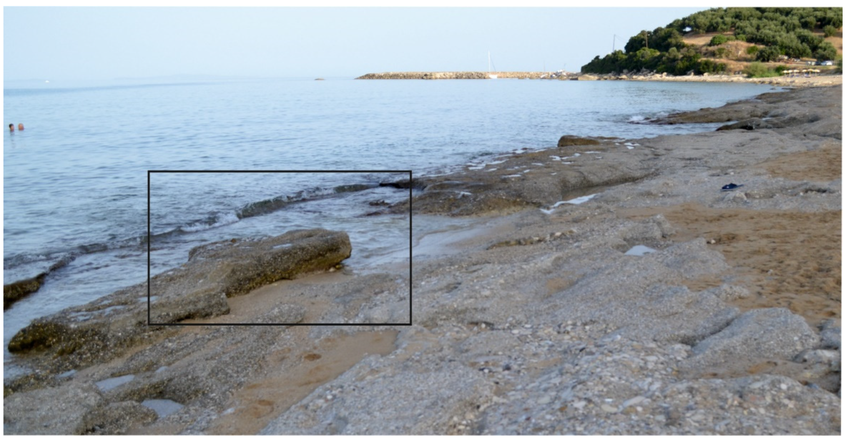 Minerals 12 00392 g004