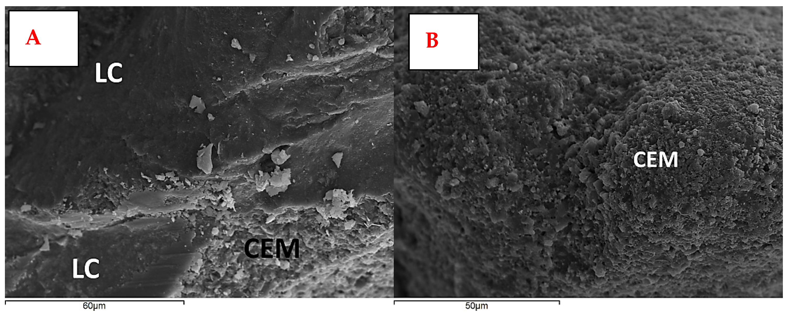 Minerals 12 00392 g013