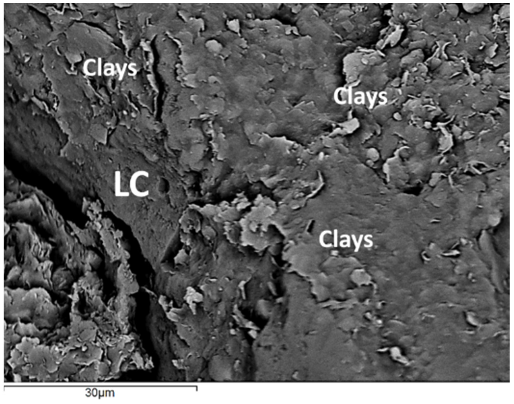 Minerals 12 00392 g015