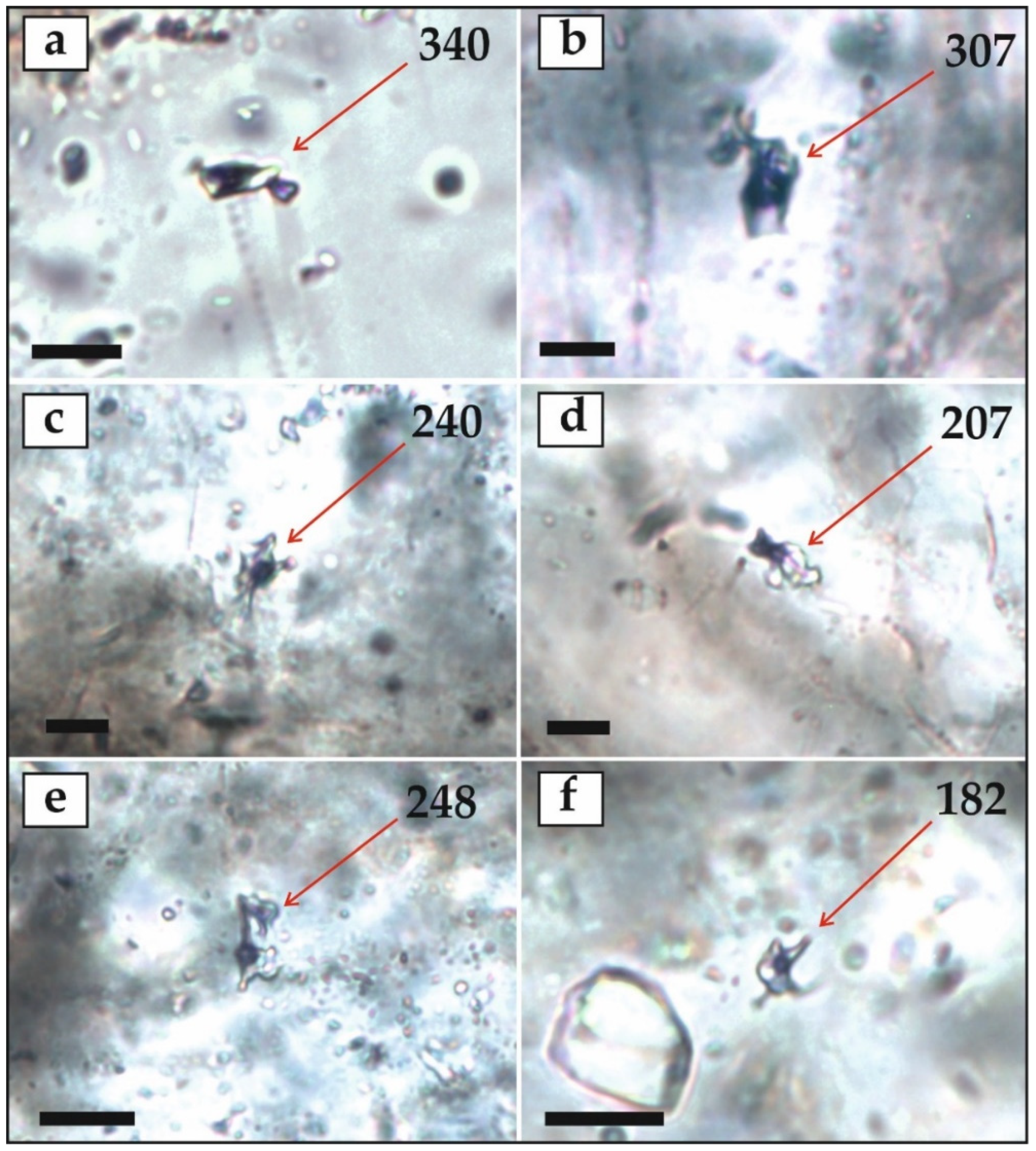 Minerals 12 00395 g017
