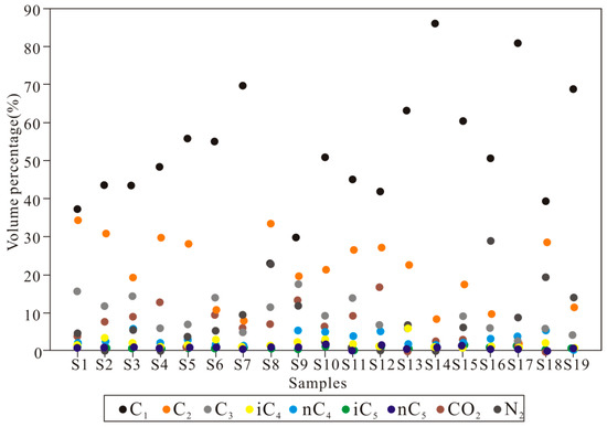 The Distribution of Gas Components within a Shale System and