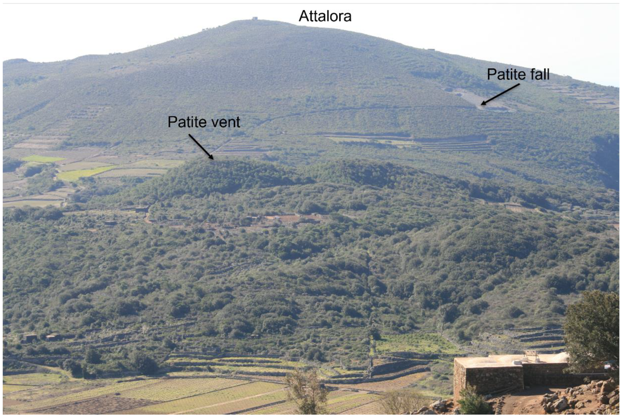 Minerals 12 00406 g009