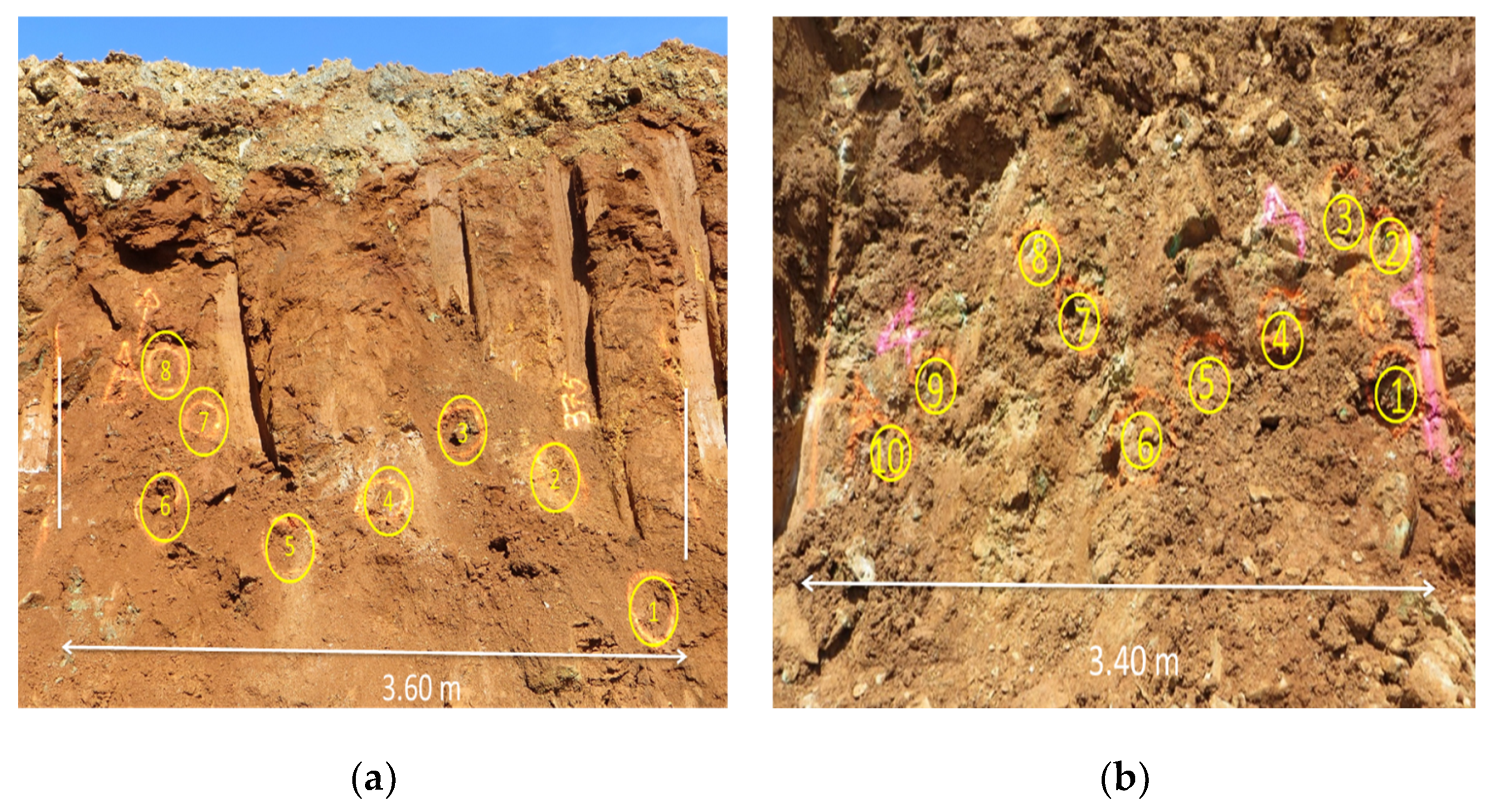 Minerals 12 00415 g003