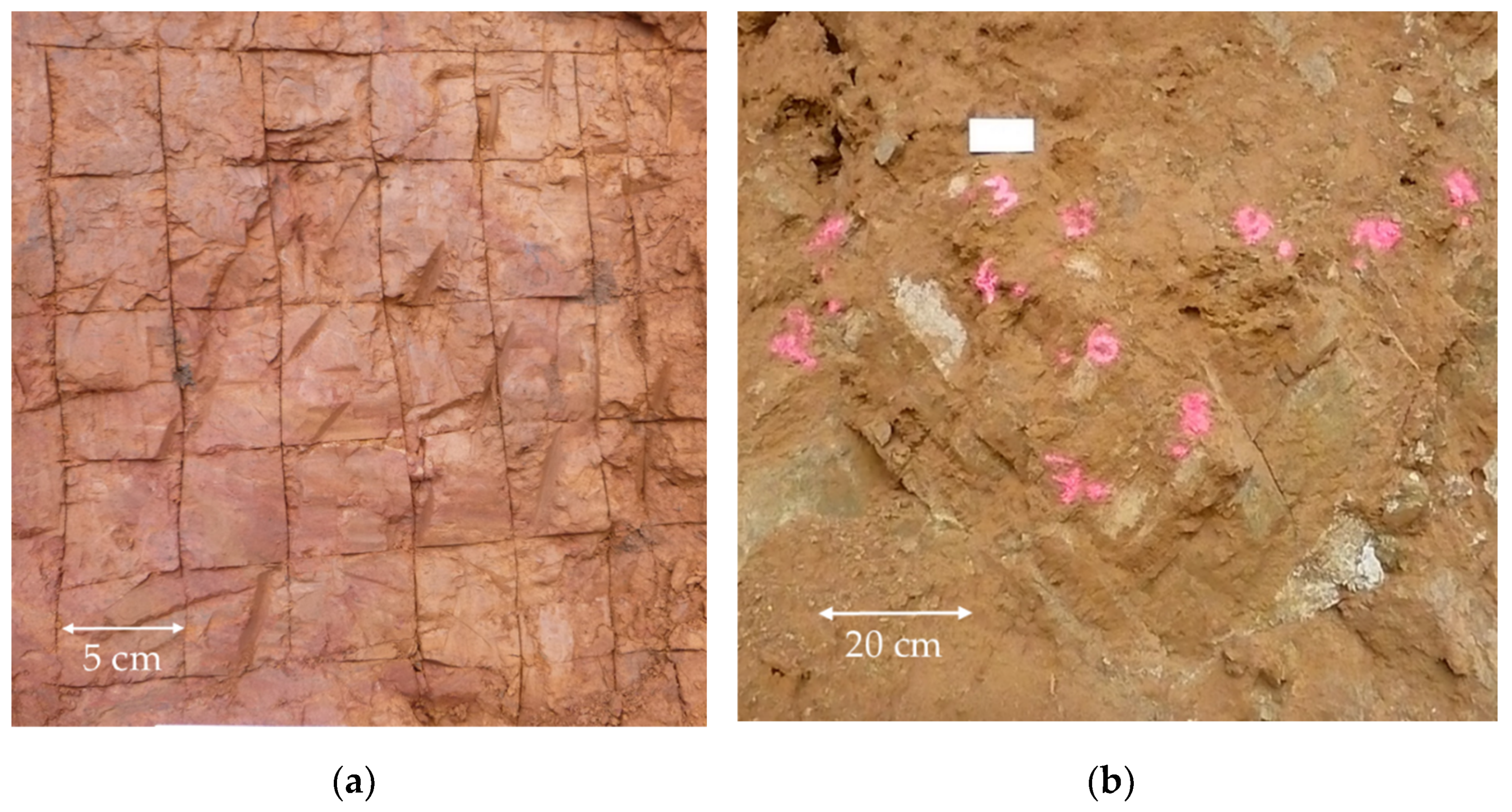 Minerals 12 00415 g005