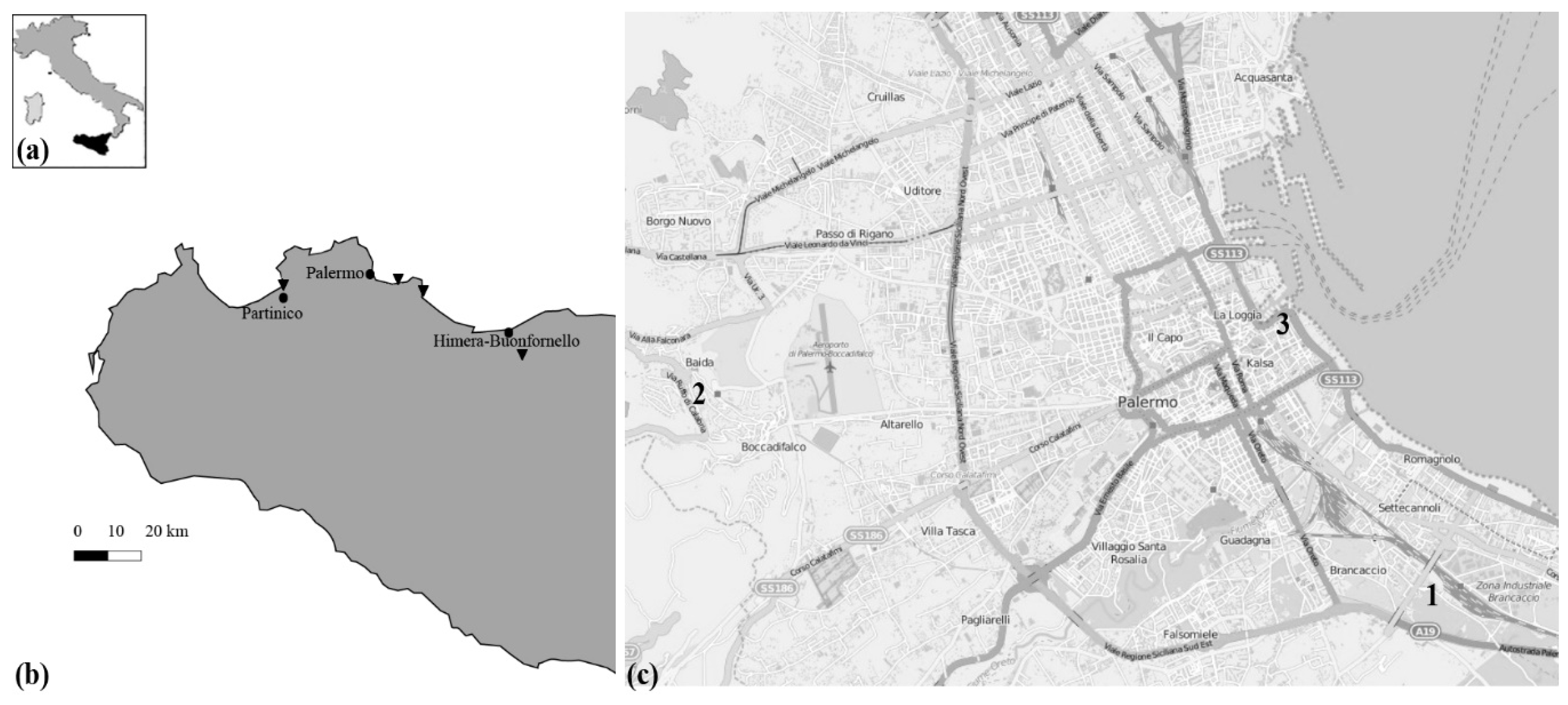 Minerals 12 00423 g002
