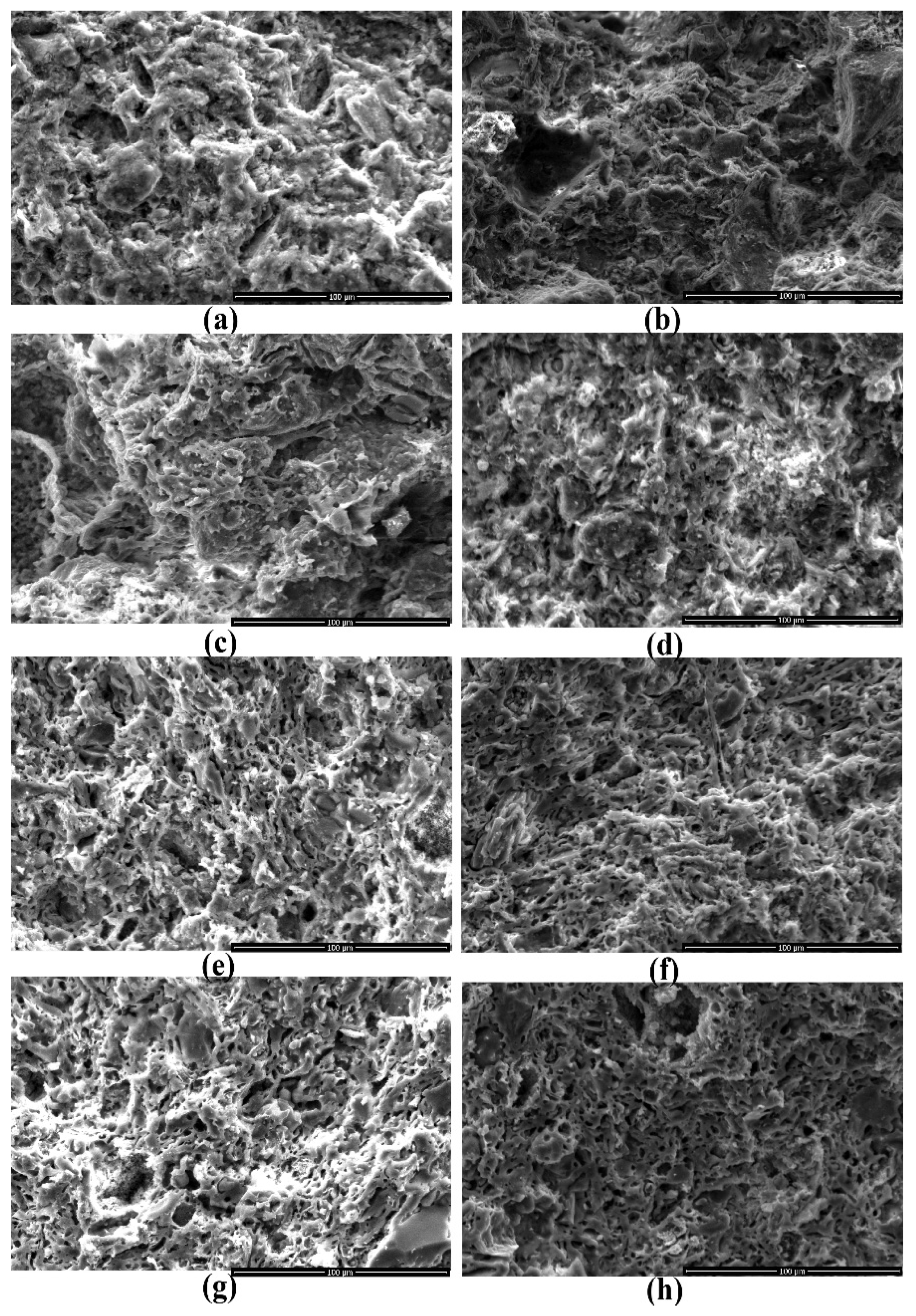 Minerals 12 00423 g015