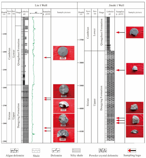 シークエンス×2 Comparison of the delamination damage and experimental C