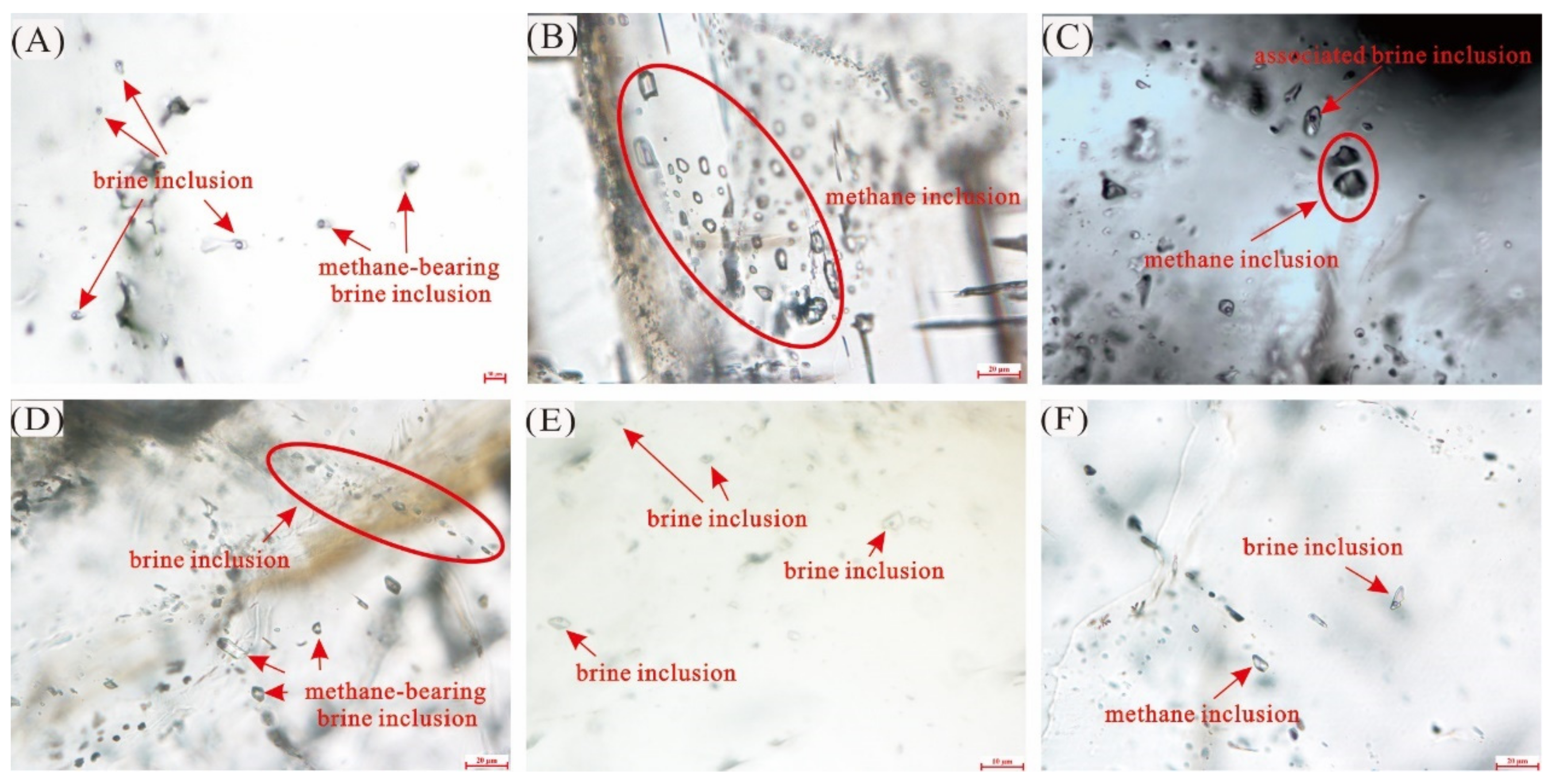Minerals 12 00443 g007