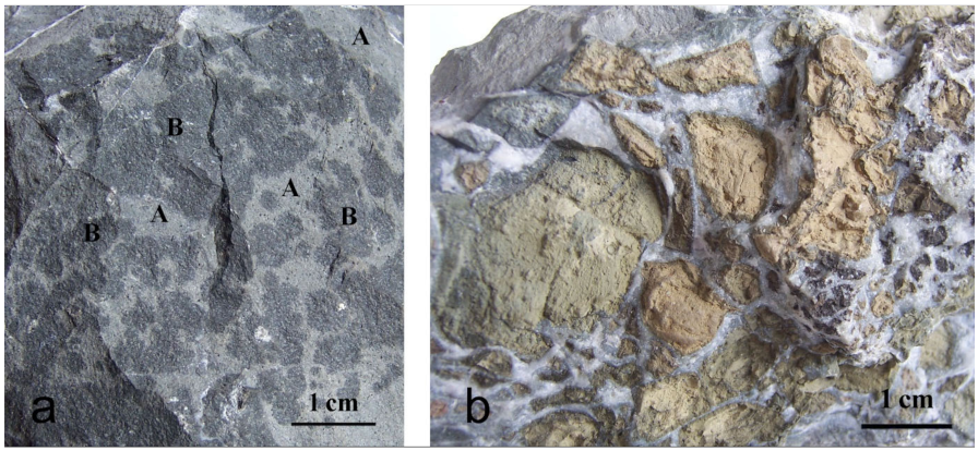 Minerals 12 00444 g004