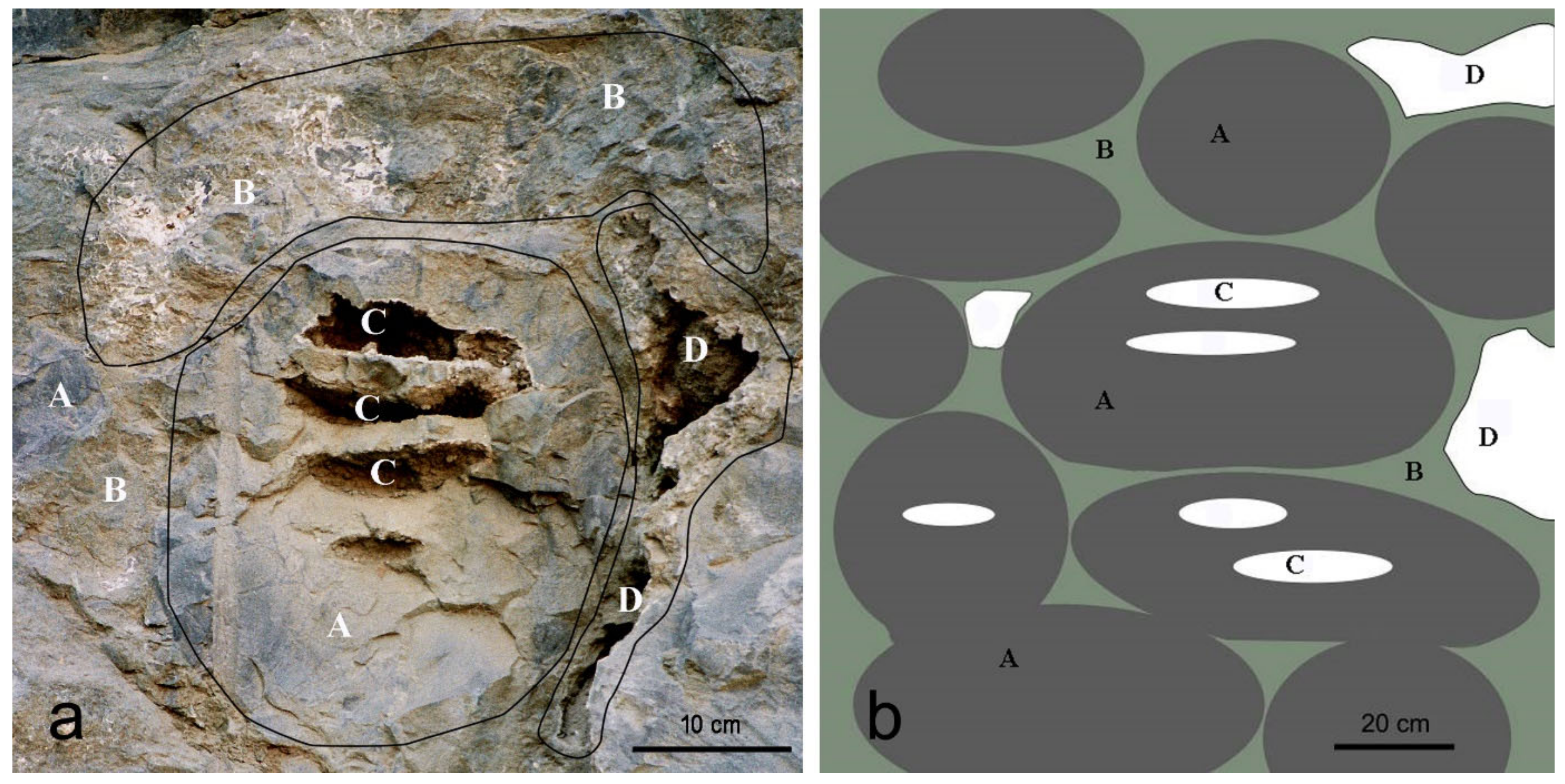 Minerals 12 00444 g006