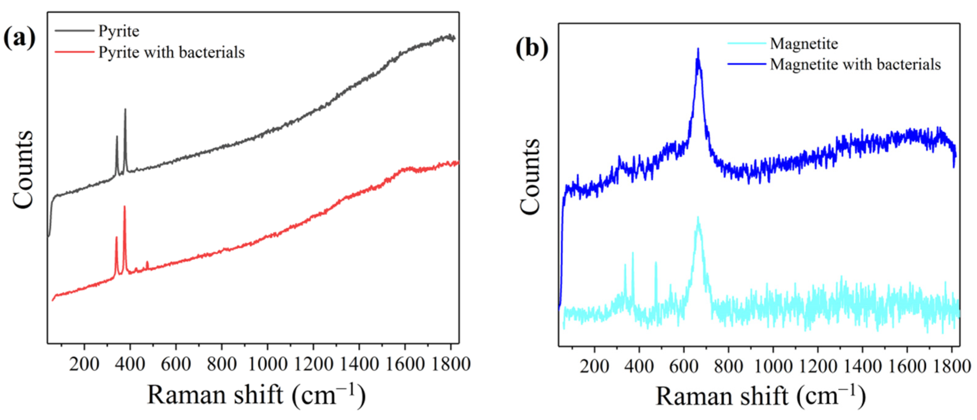Minerals 12 00460 g005 550