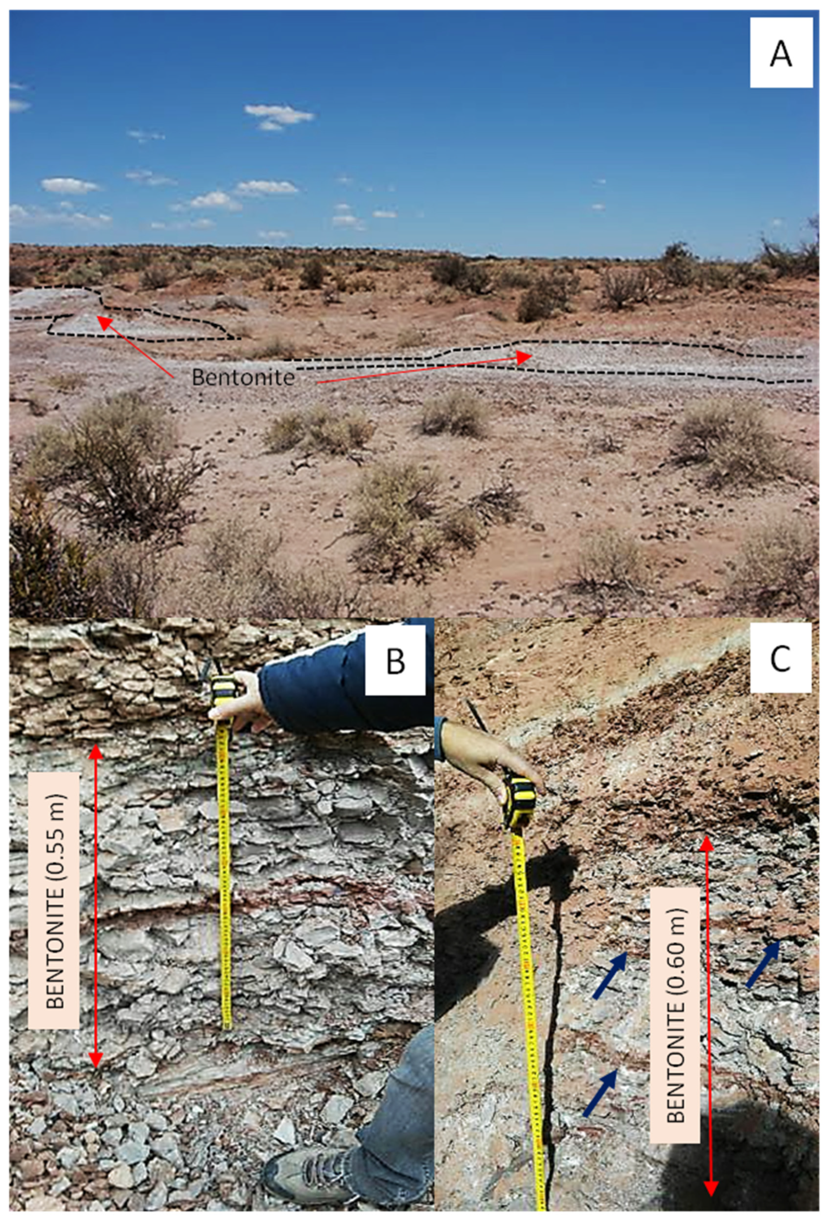 Minerals 12 00467 g003 550