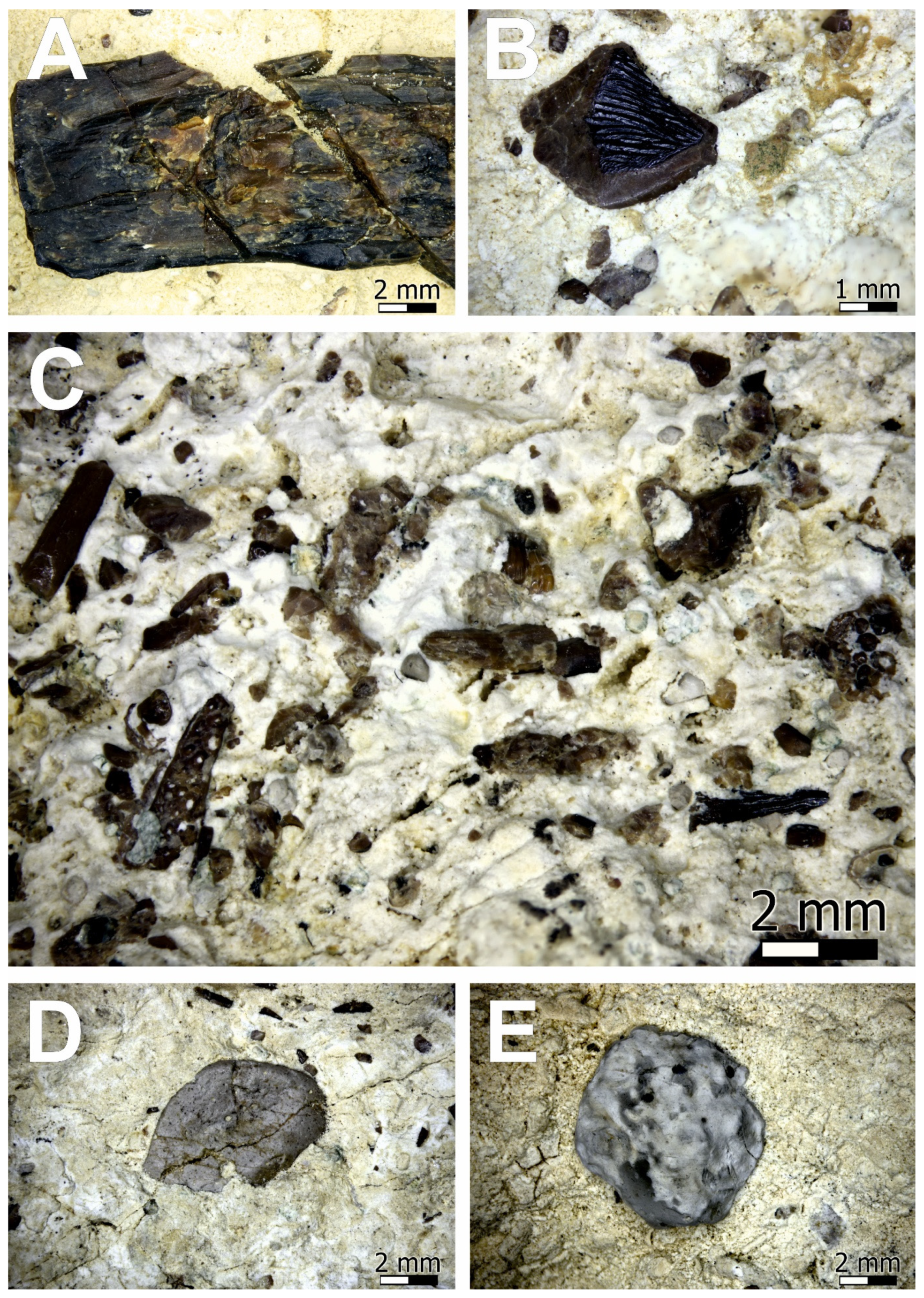 Minerals 12 00469 g004