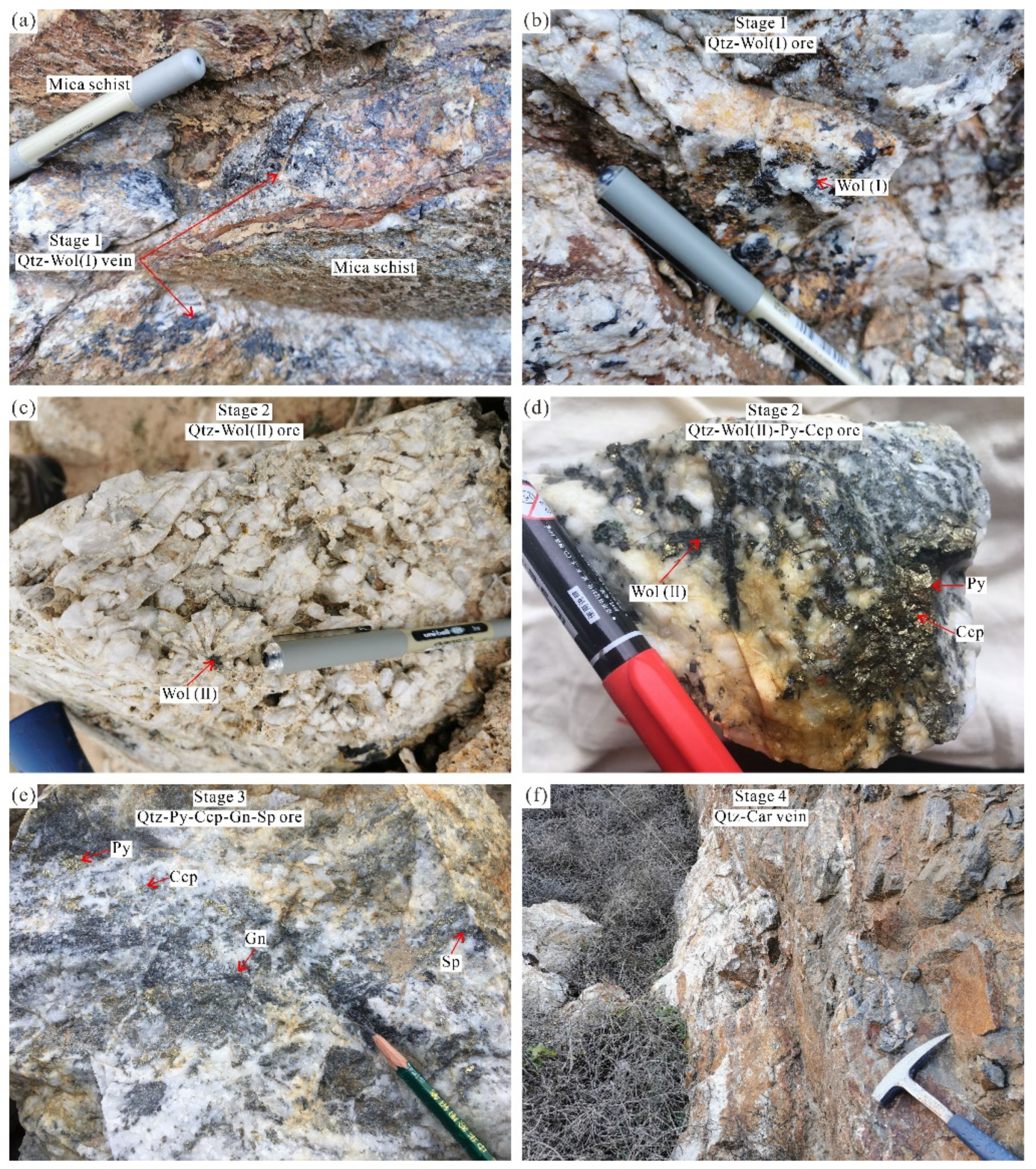 Ore Genesis of the Baishitouwa Quartz–Wolframite Vein-Type