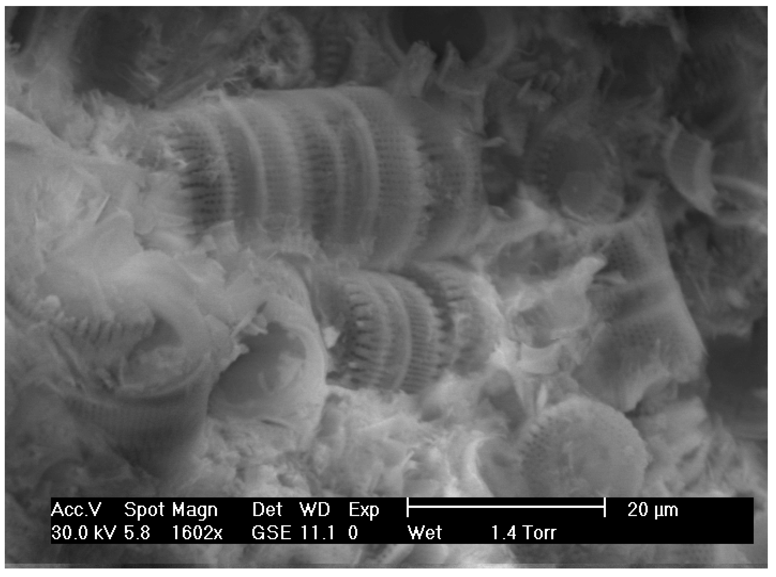 Minerals 12 00523 g003