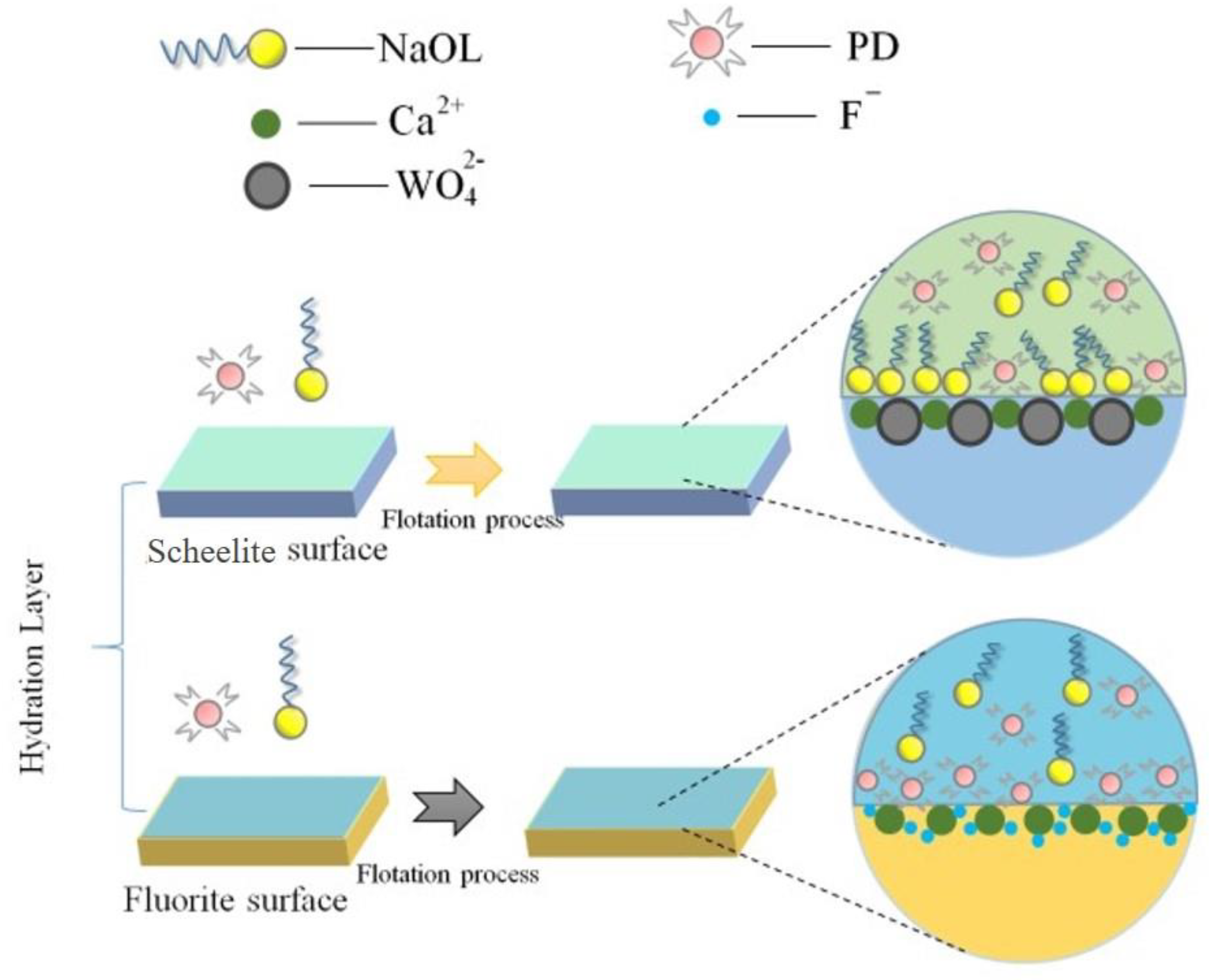 Minerals 12 00530 g012