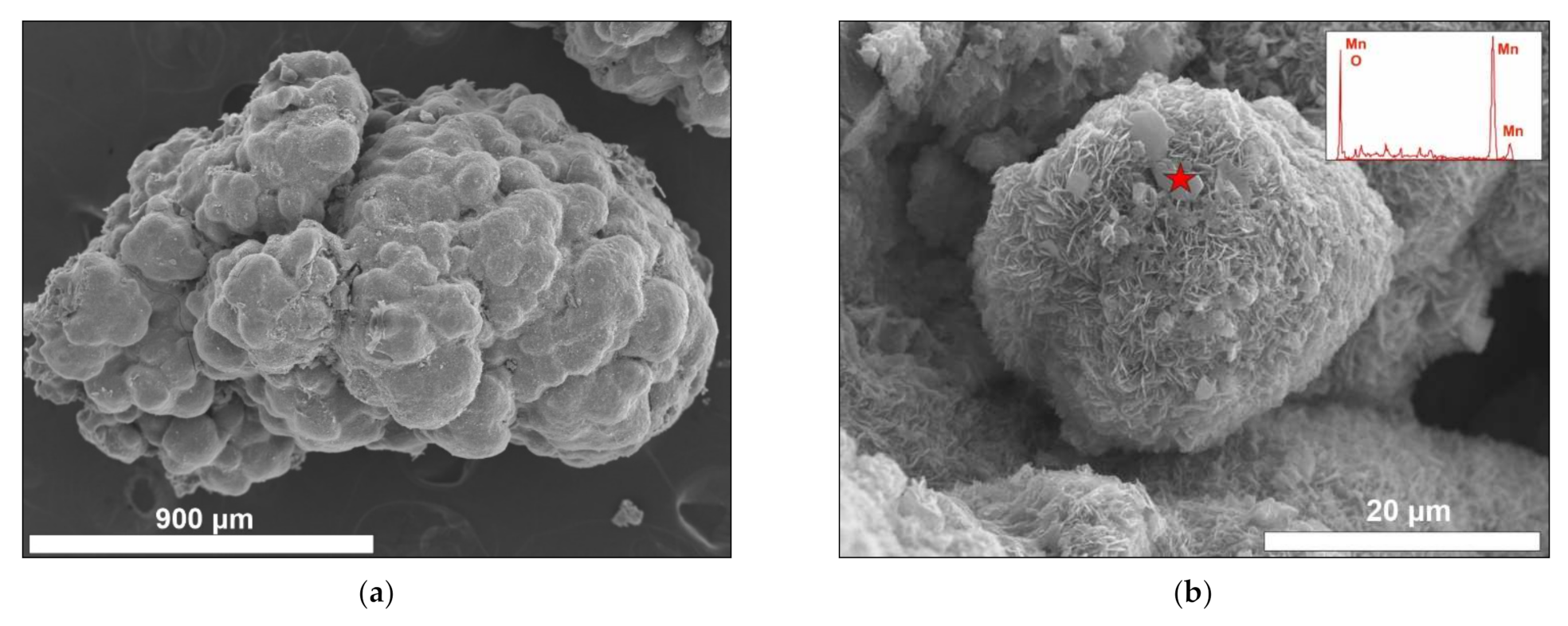 Minerals 12 00538 g003a 550