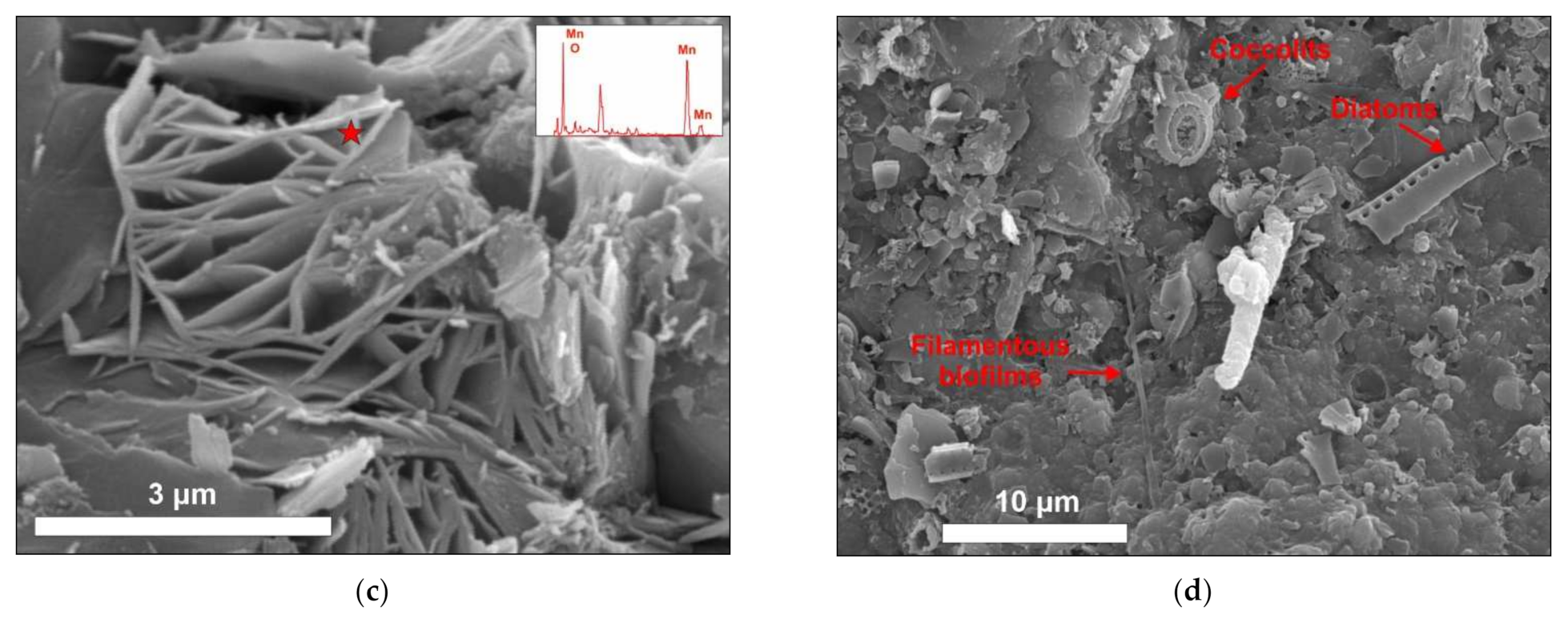 Minerals 12 00538 g003b 550