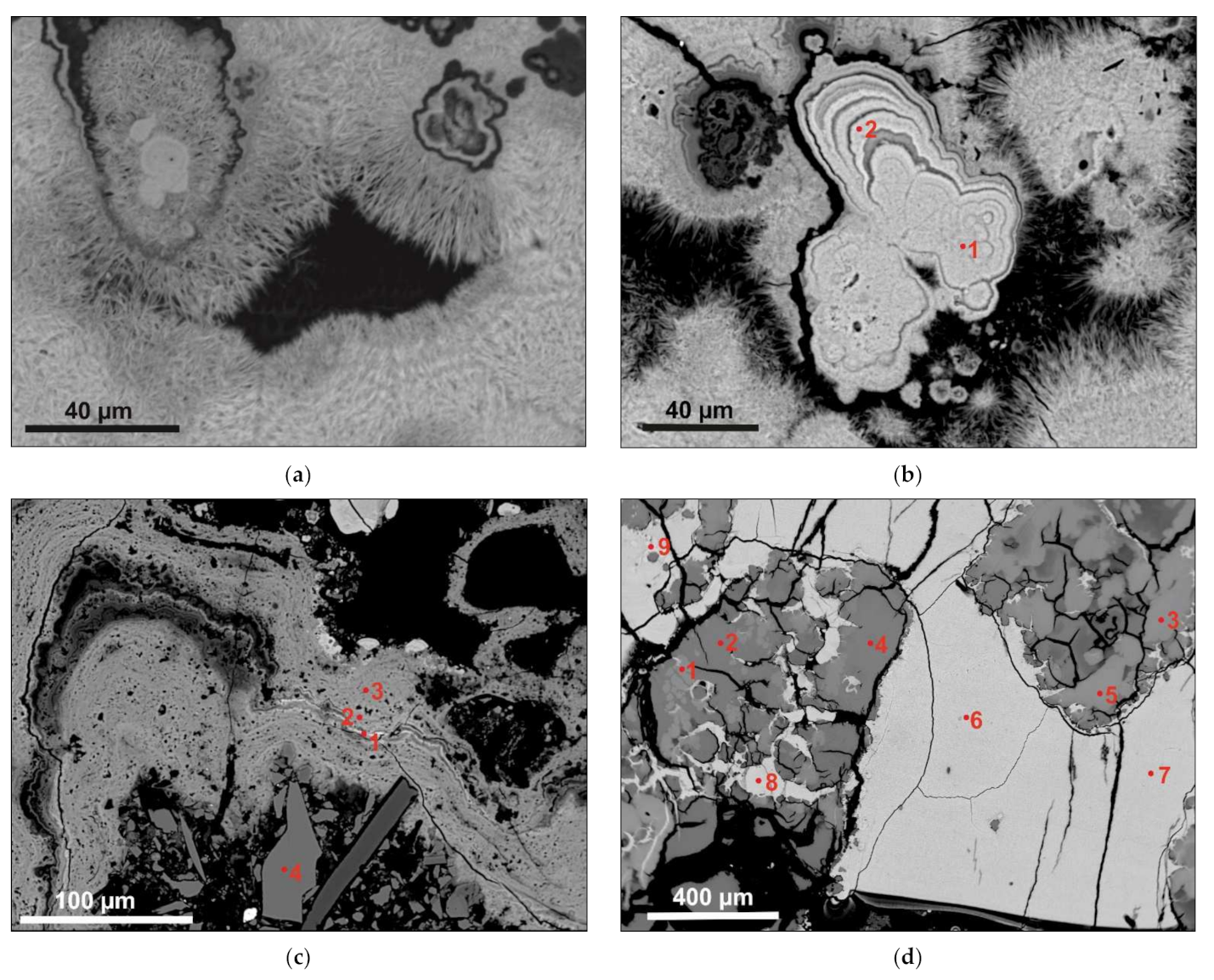 Minerals 12 00538 g006 550