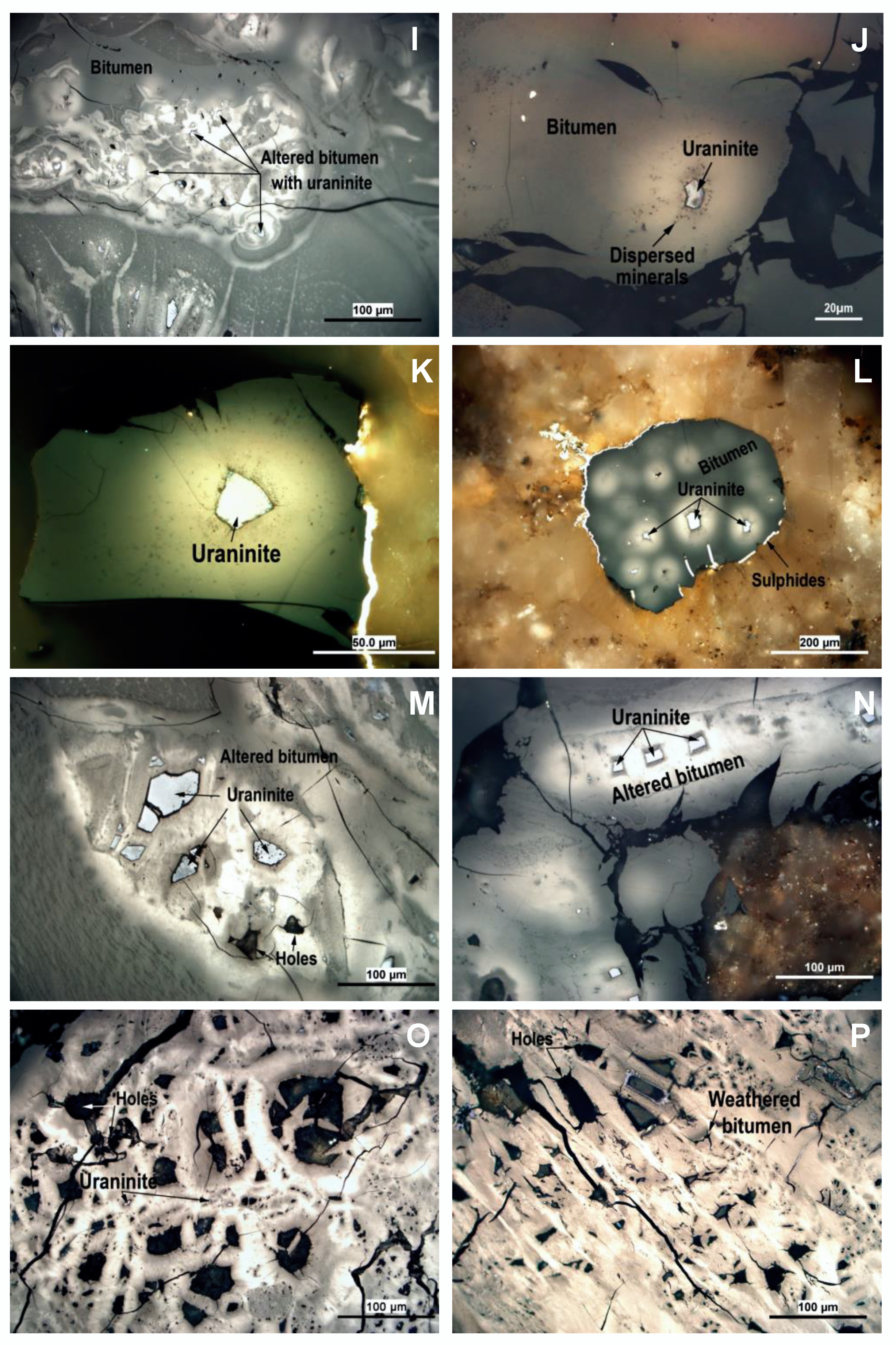 Minerals 12 00544 g006b 550