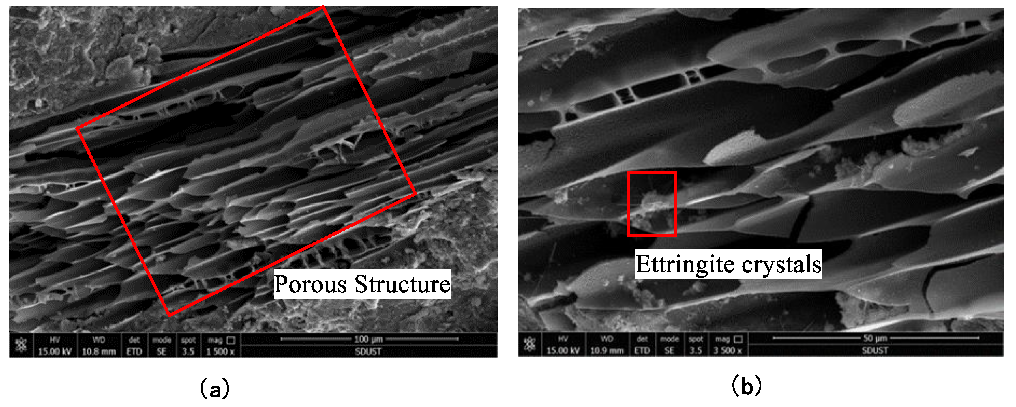 Minerals 12 00551 g010