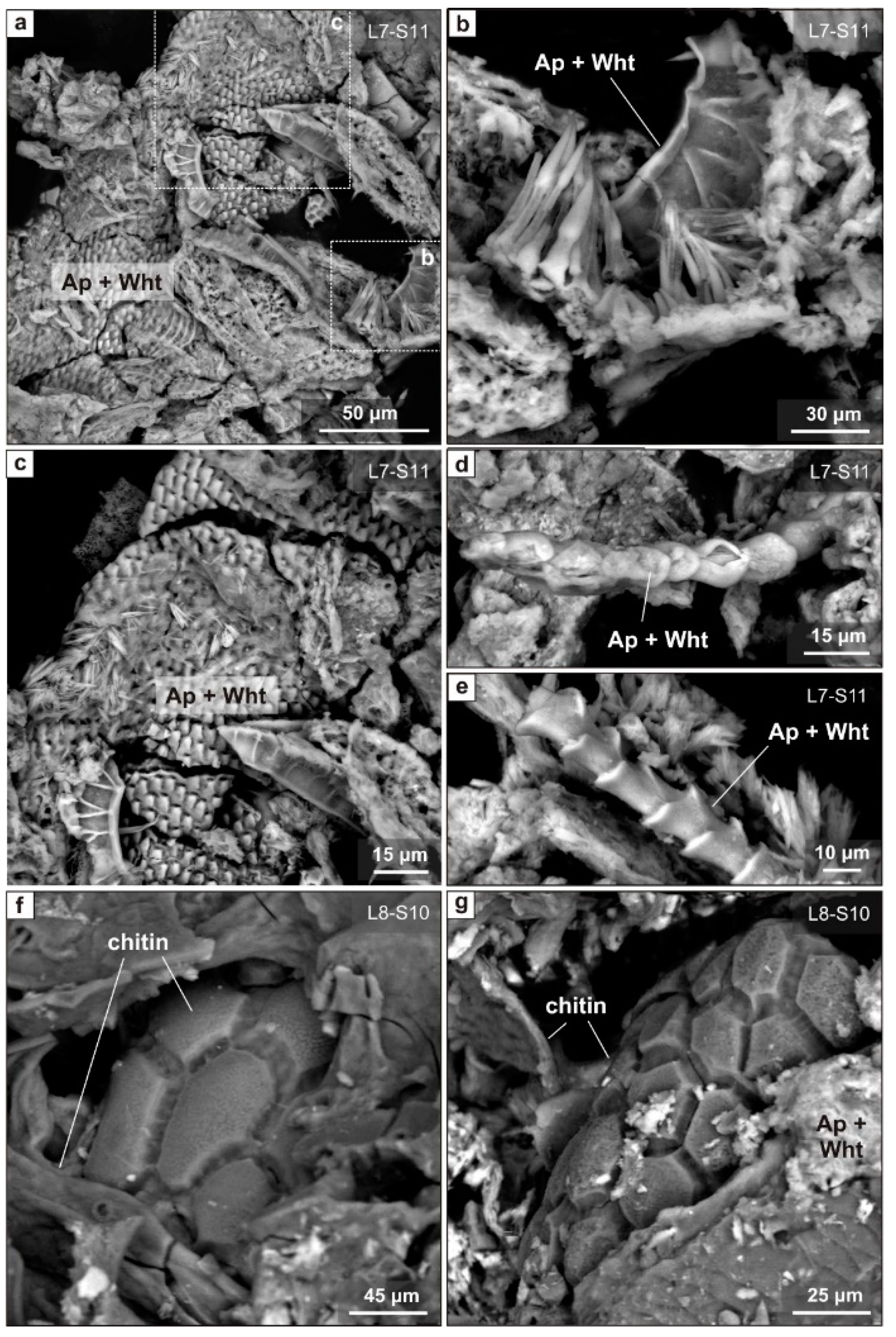 Minerals 12 00553 g005 550