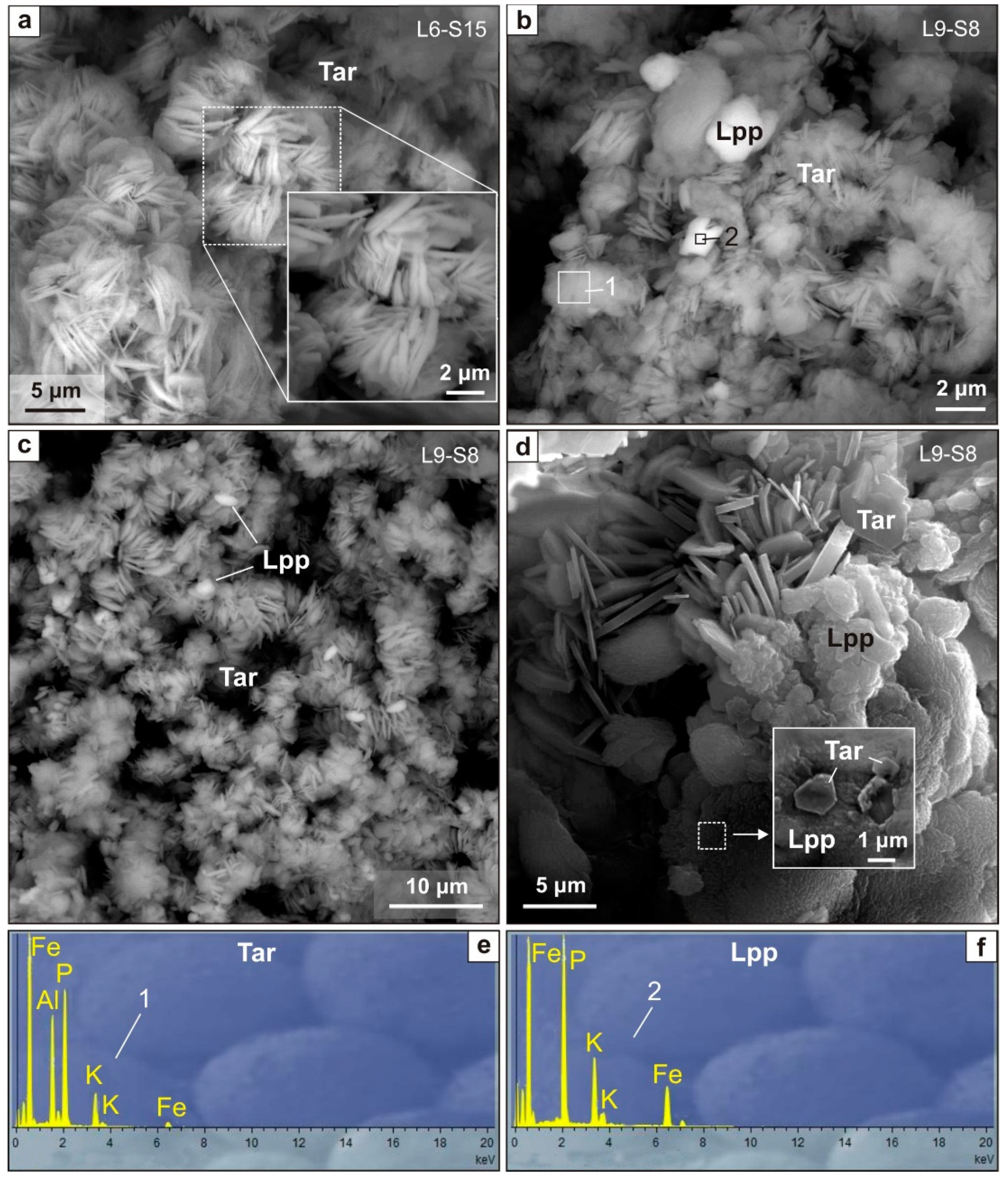 Minerals 12 00553 g010 550