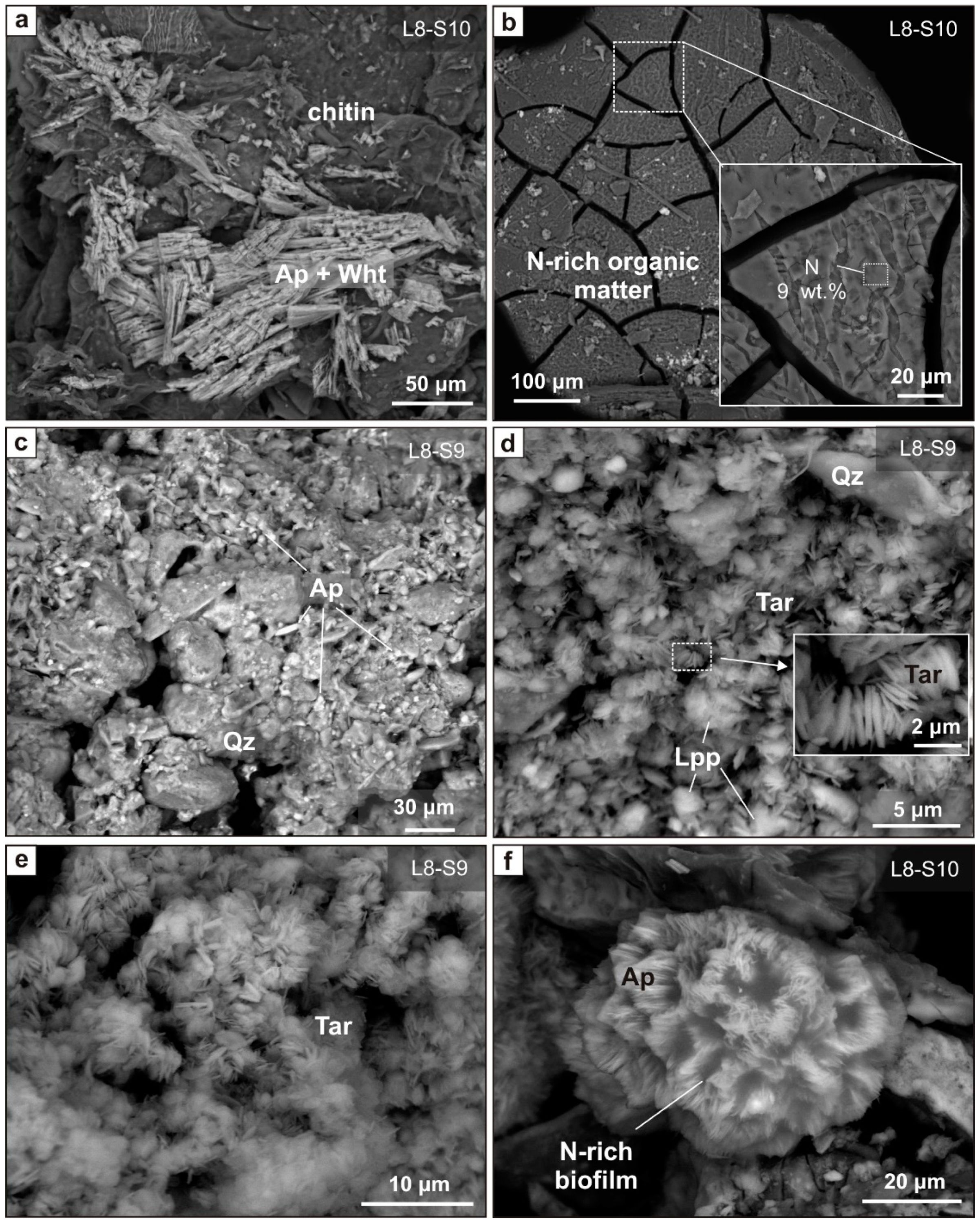 Minerals 12 00553 g014 550