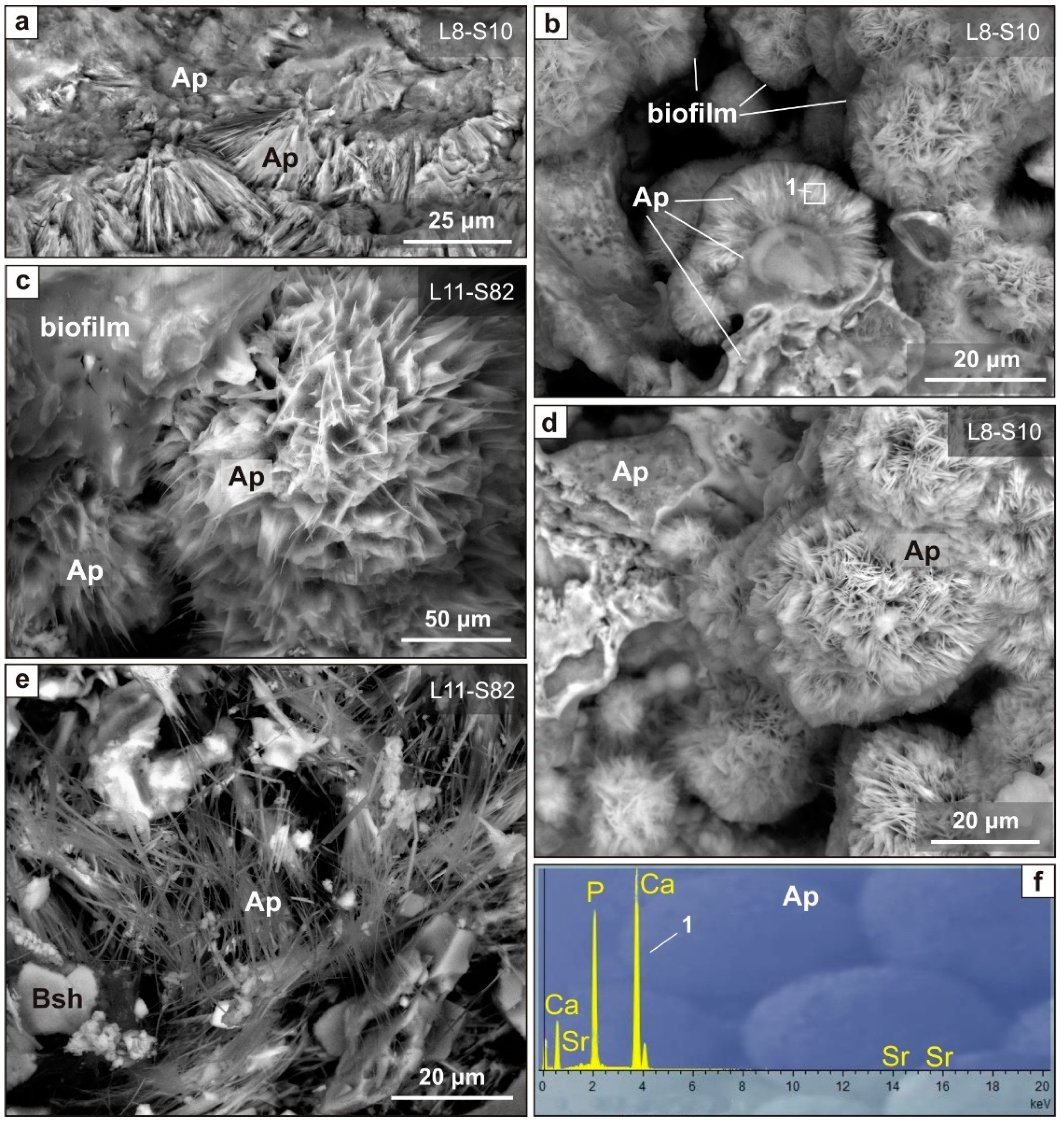 Minerals 12 00553 g015 550
