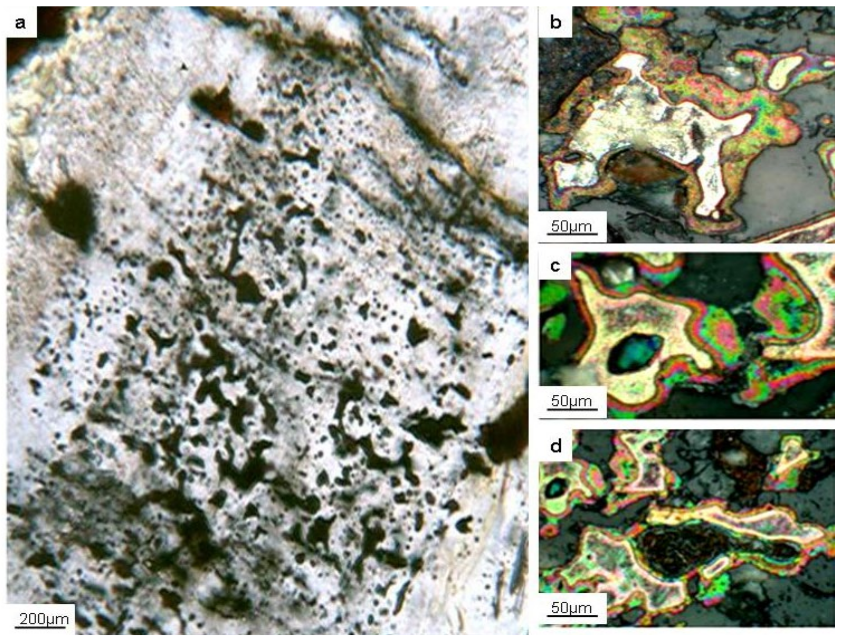 Minerals 12 00561 g013 Minerals 12 00561 g013