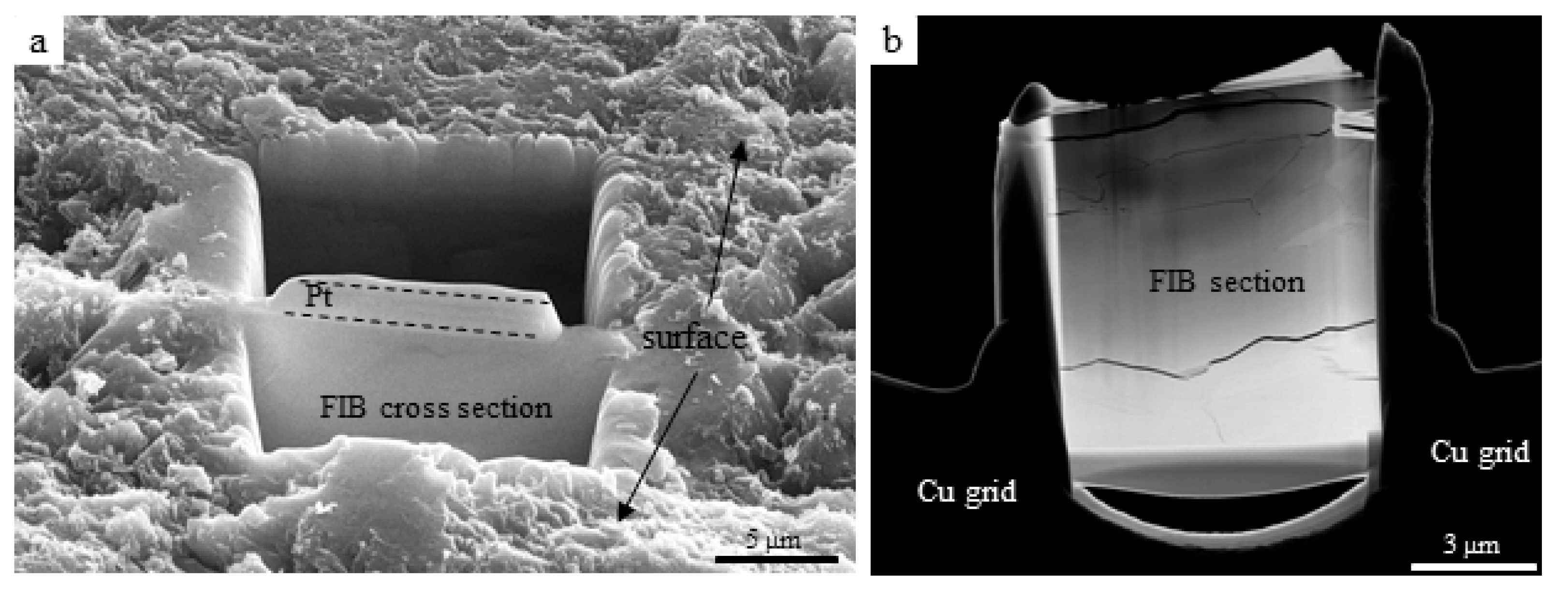 Minerals 12 00562 g005 550