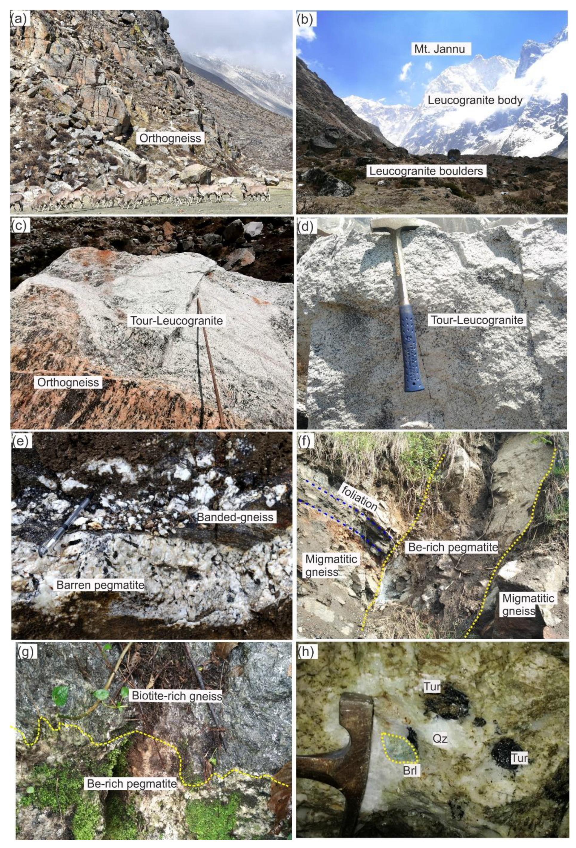 Minerals 12 00564 g002