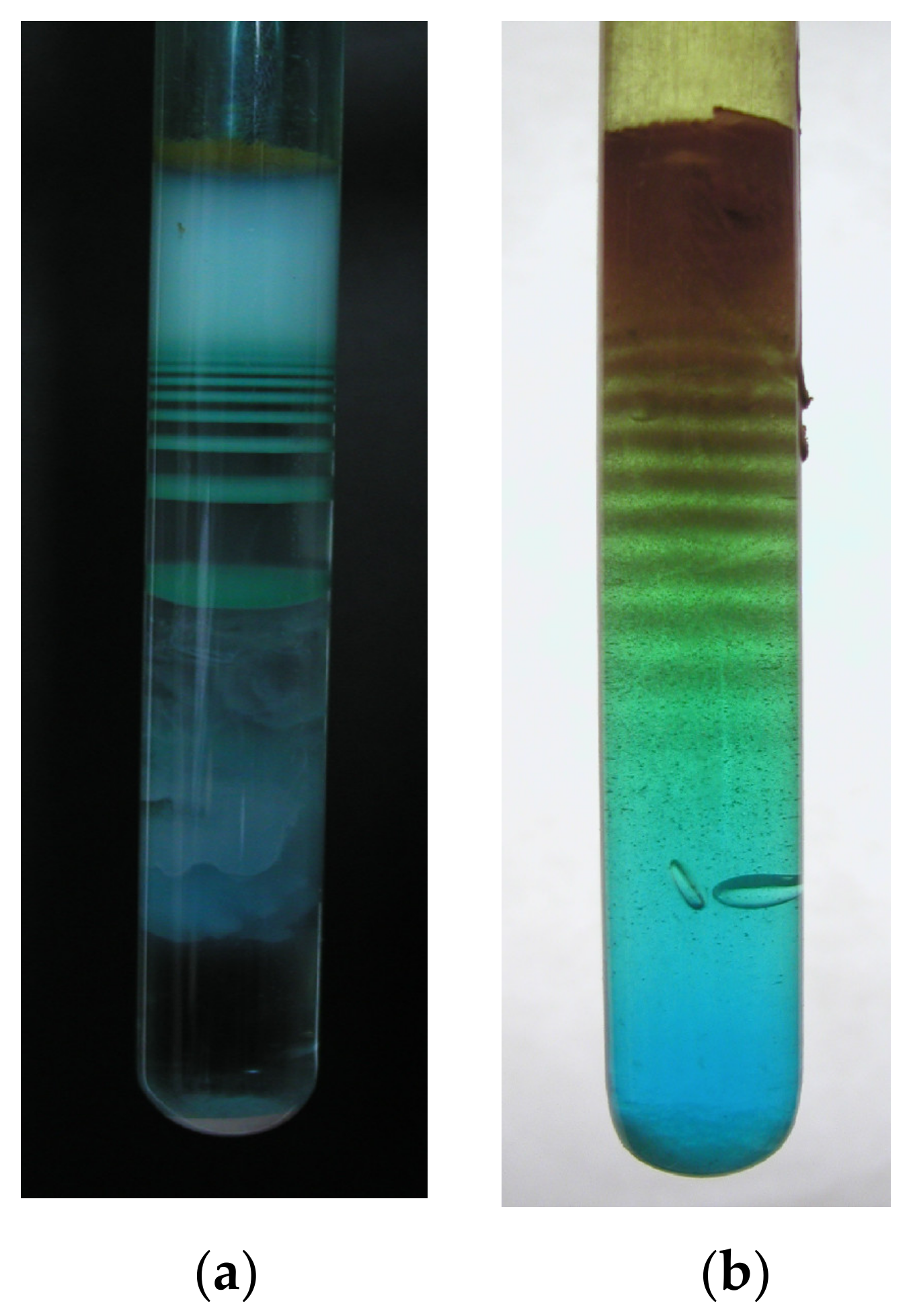 Minerals 12 00645 g001