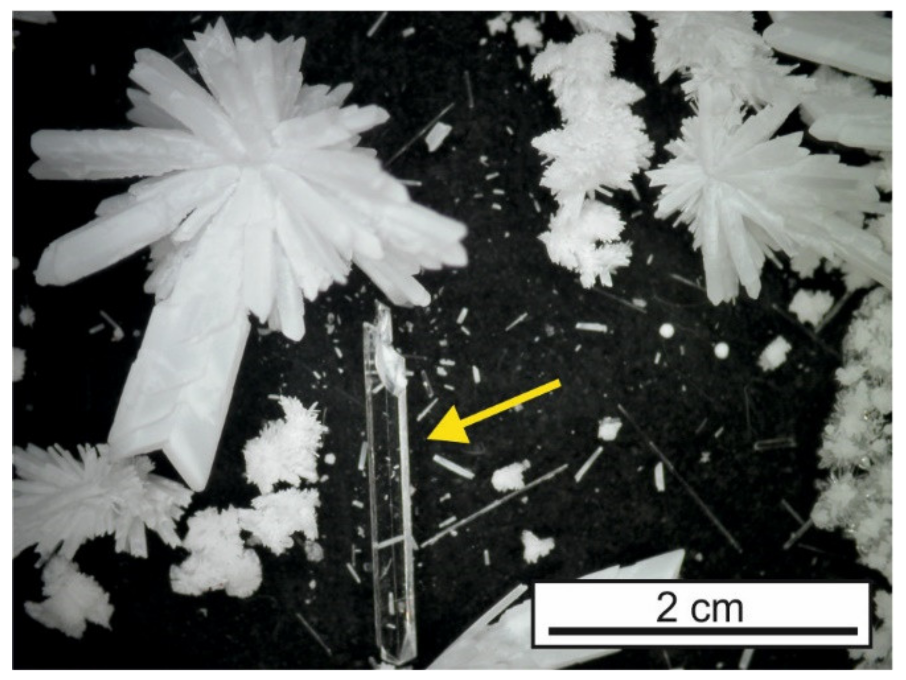 Minerals | Free Full-Text | The Gel Growth Technique&mdash;A Neglected Yet  Effective Tool to Prepare Crystals of Oxysalts and Supergene Minerals