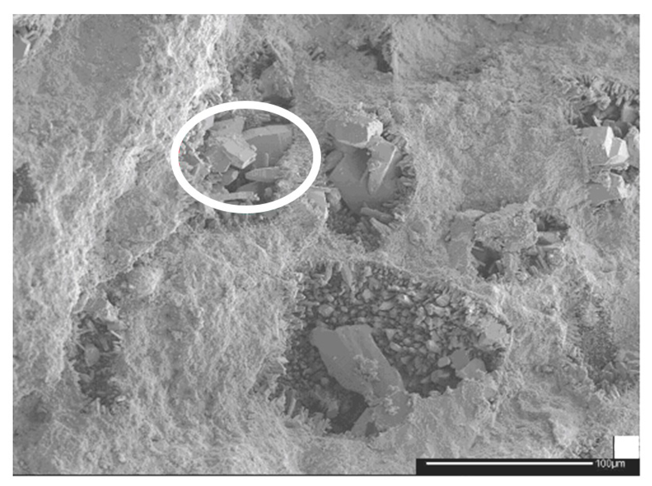 Minerals 12 00648 g001 550